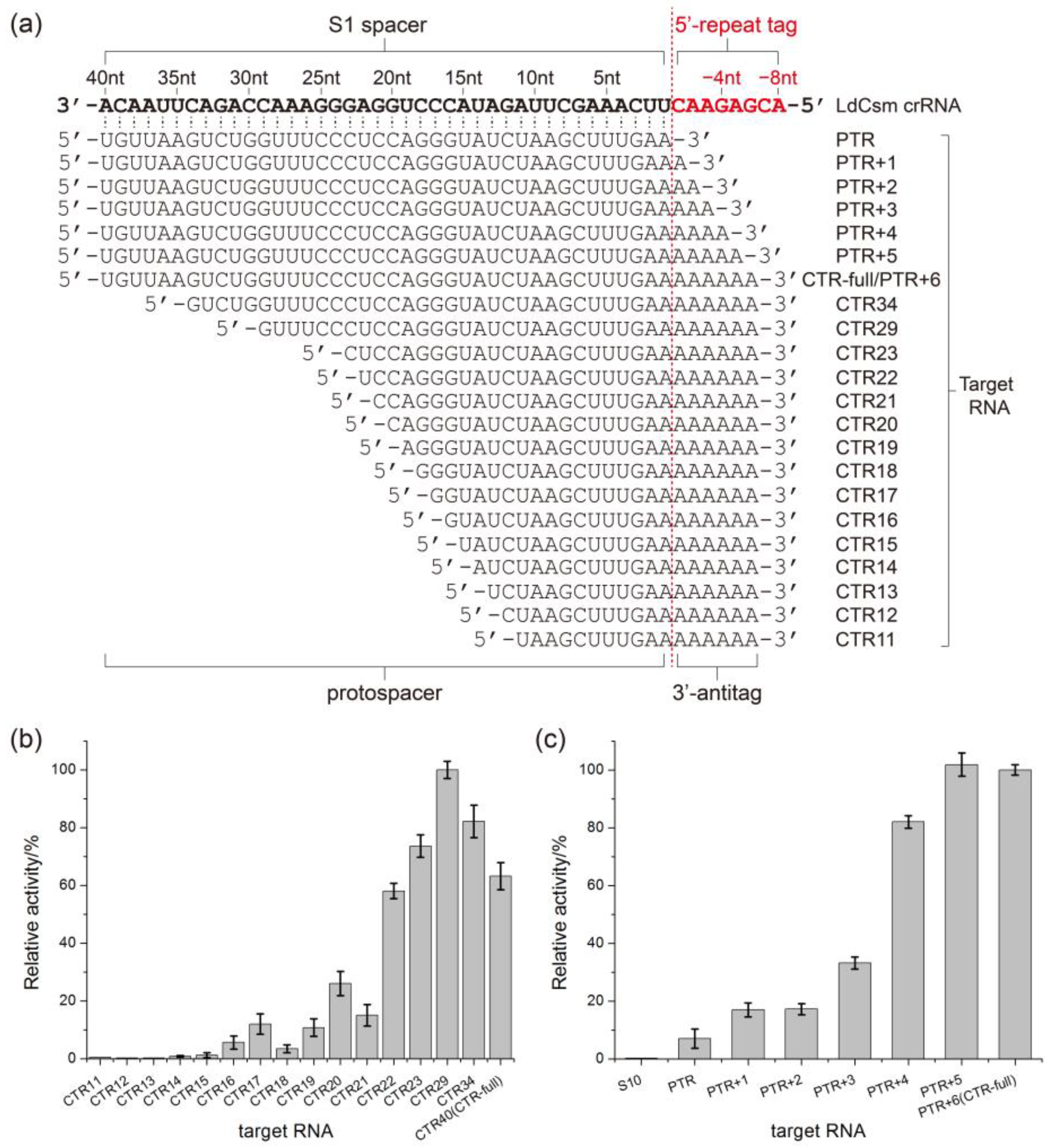 Ijms 24 02857 g005 Ijms 24 02857 g005