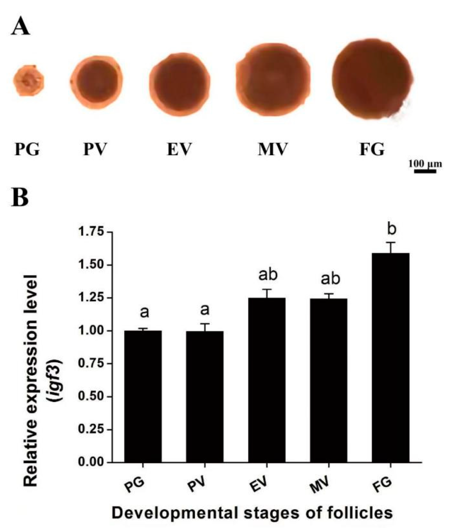 Ijms 24 02868 g004 Ijms 24 02868 g004