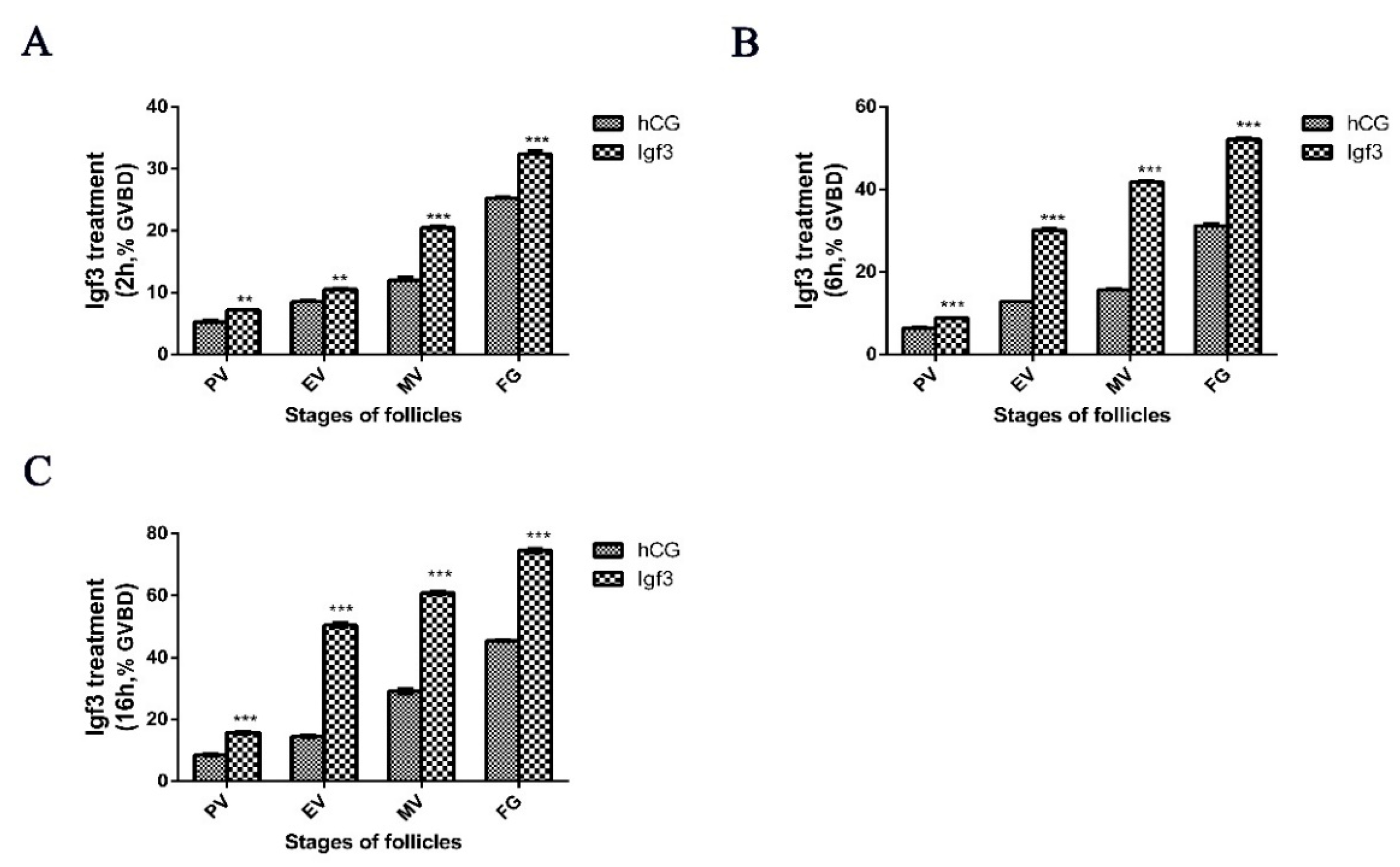 Ijms 24 02868 g006 Ijms 24 02868 g006