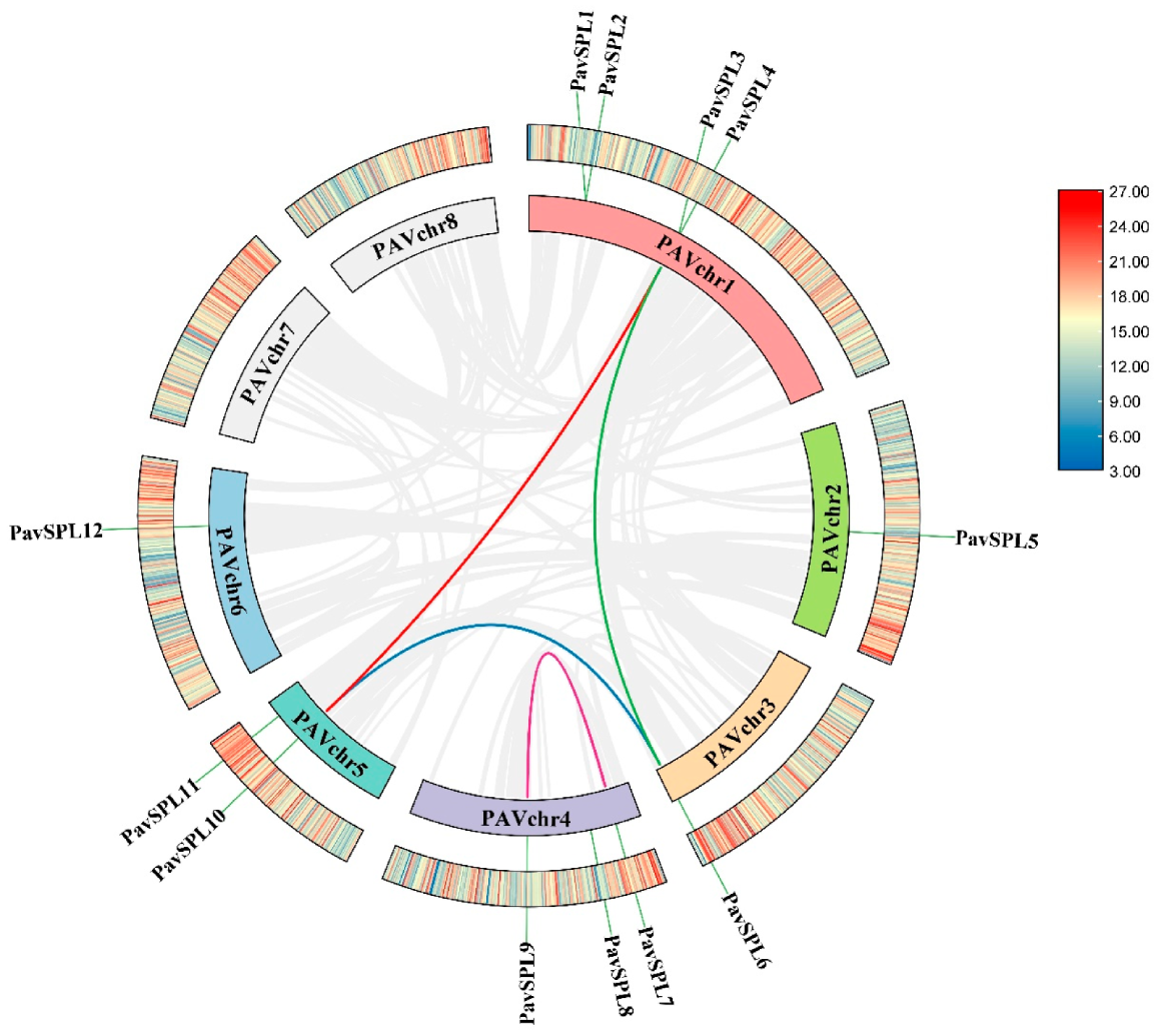 Ijms 24 02880 g001 Ijms 24 02880 g001