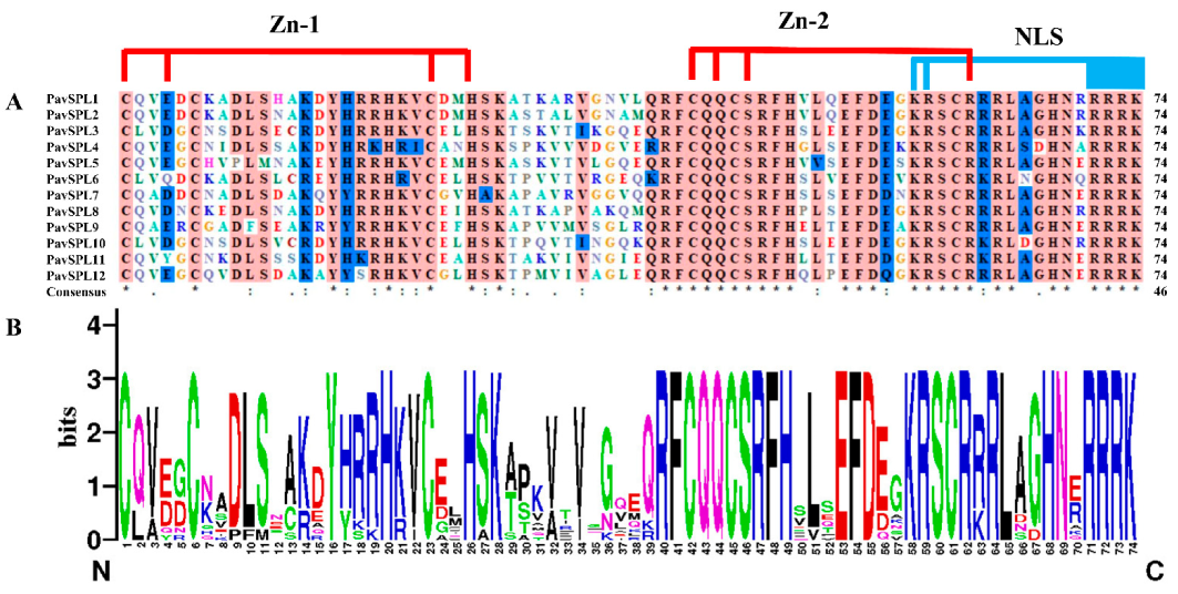 Ijms 24 02880 g002 Ijms 24 02880 g002