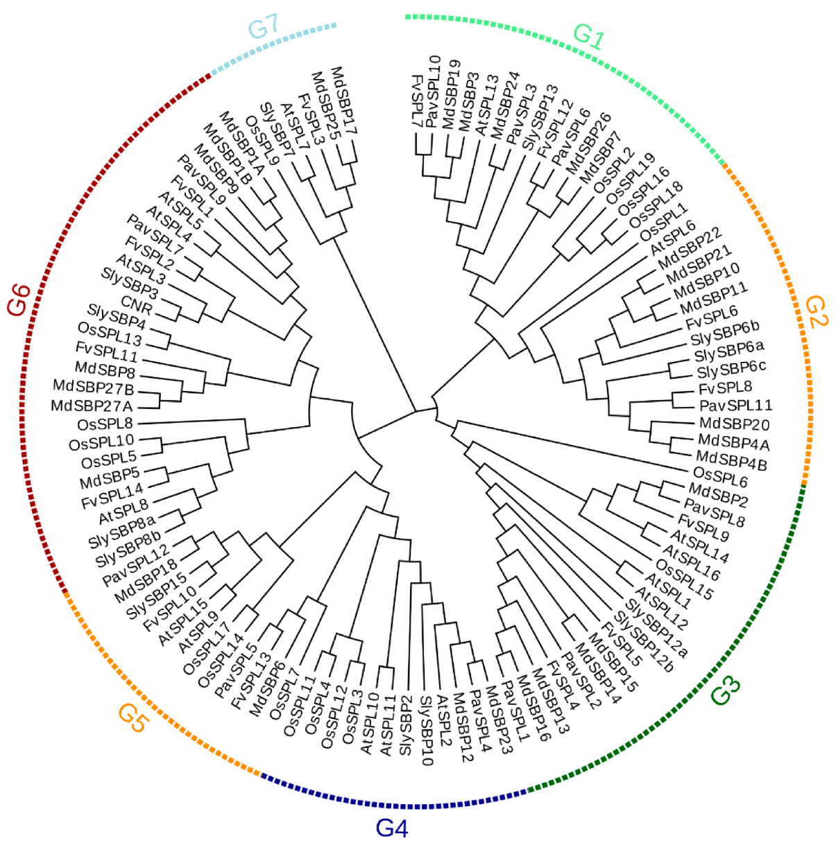Ijms 24 02880 g003 Ijms 24 02880 g003