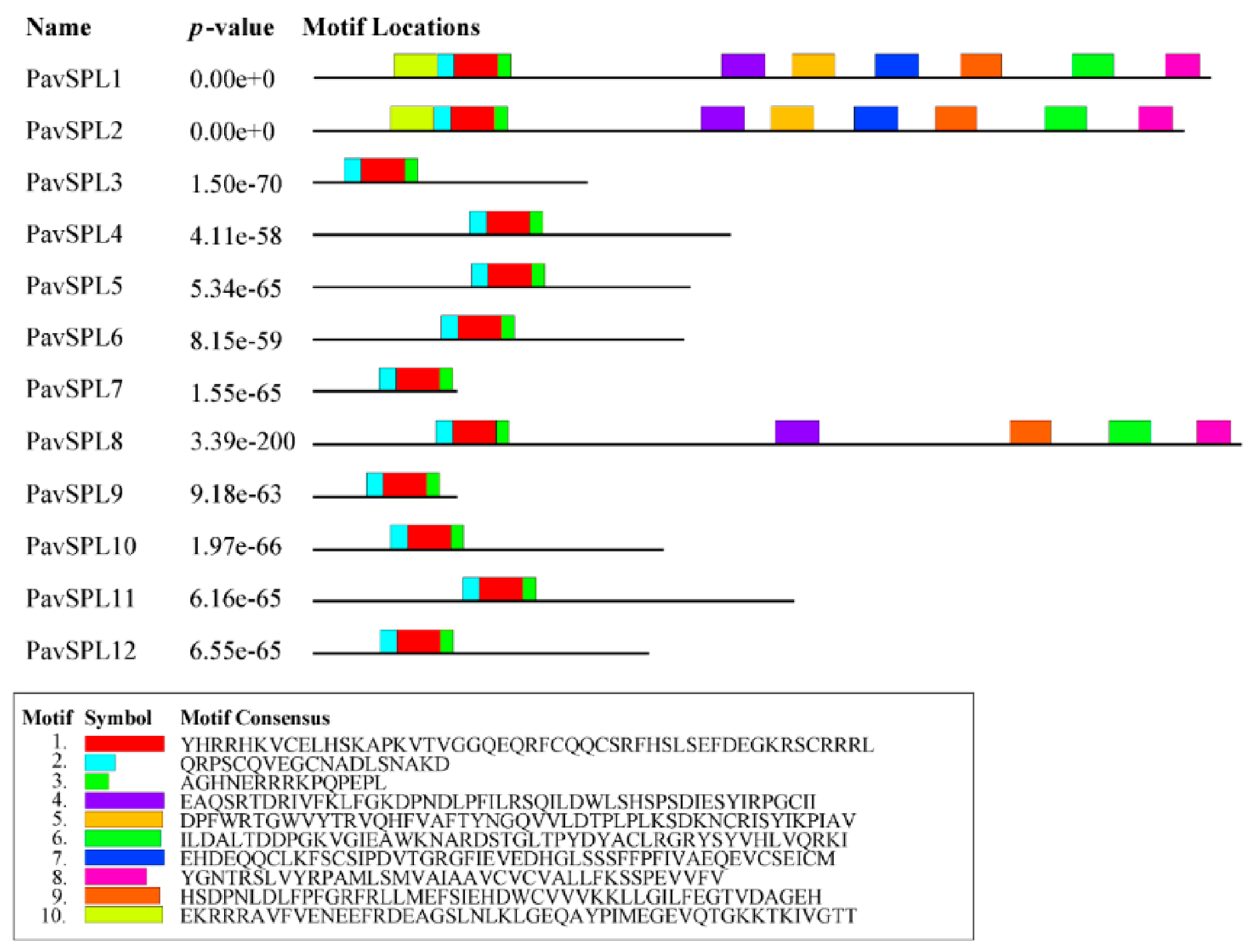 Ijms 24 02880 g004 Ijms 24 02880 g004