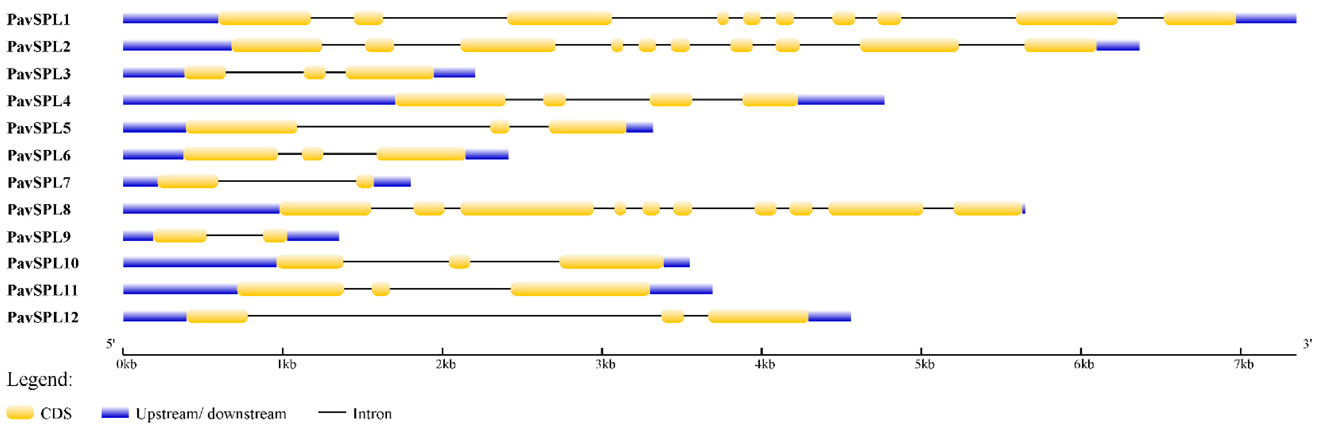 Ijms 24 02880 g005 Ijms 24 02880 g005