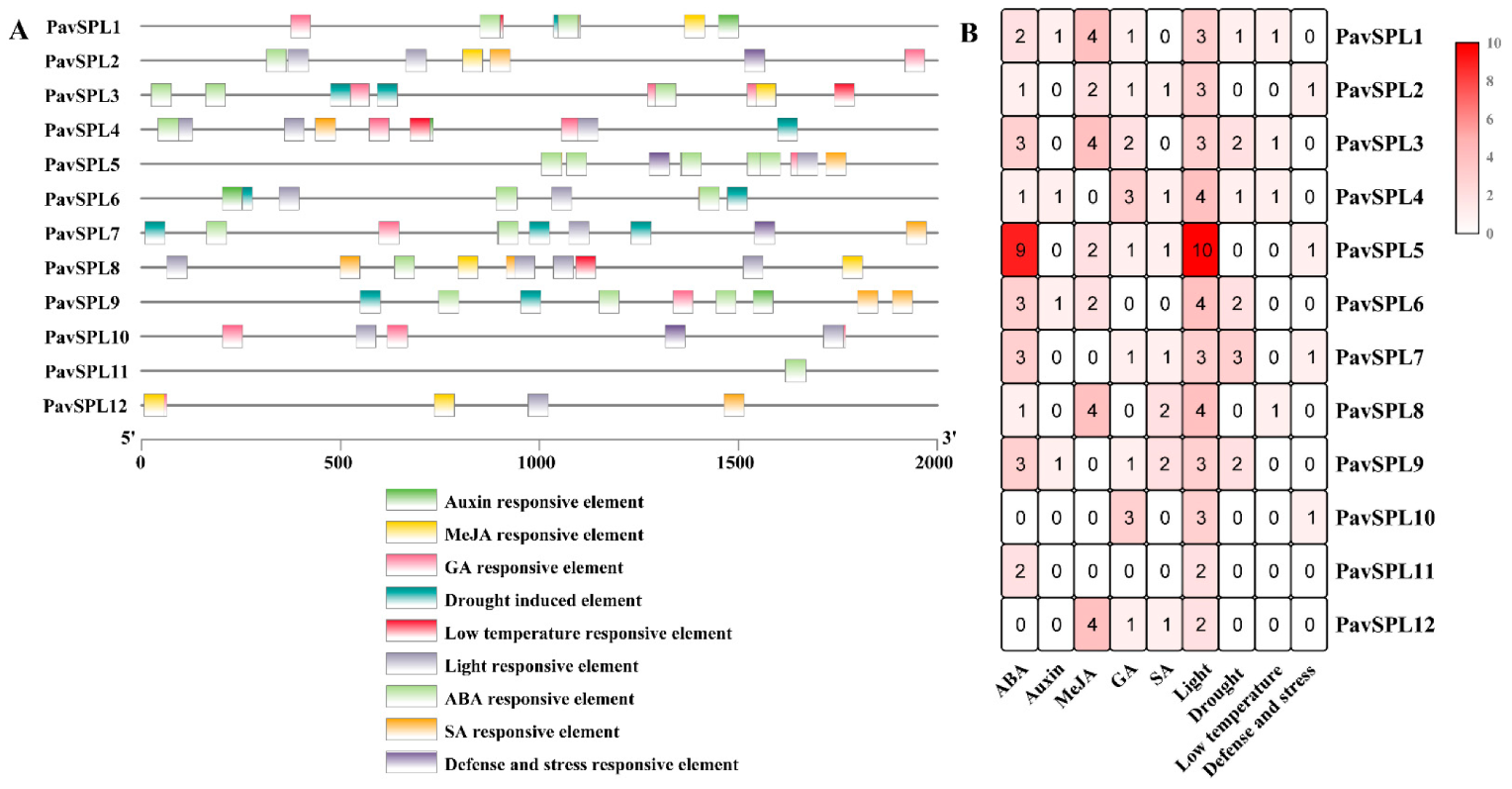 Ijms 24 02880 g006 Ijms 24 02880 g006