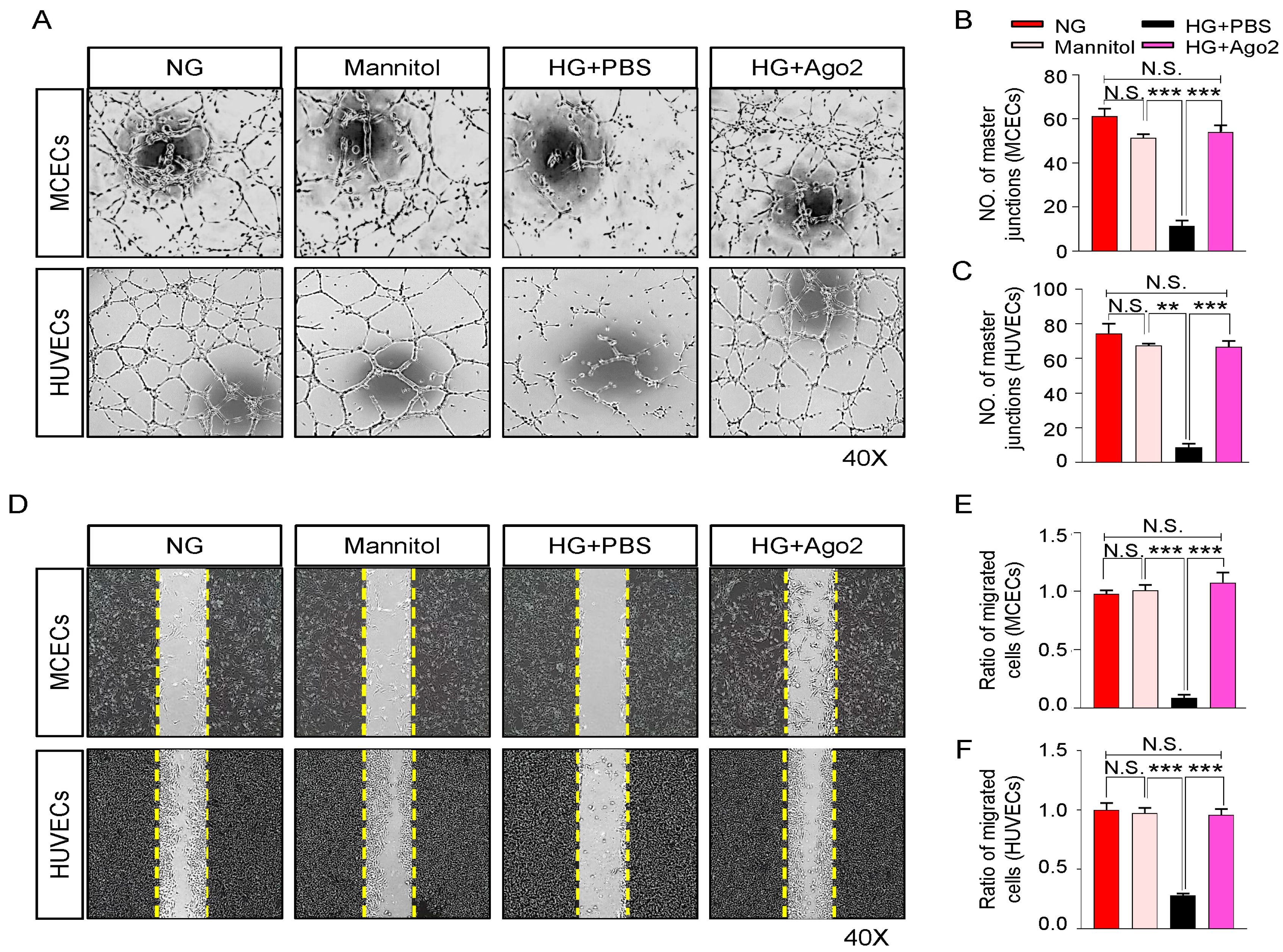 Ijms 24 02935 g002 Ijms 24 02935 g002