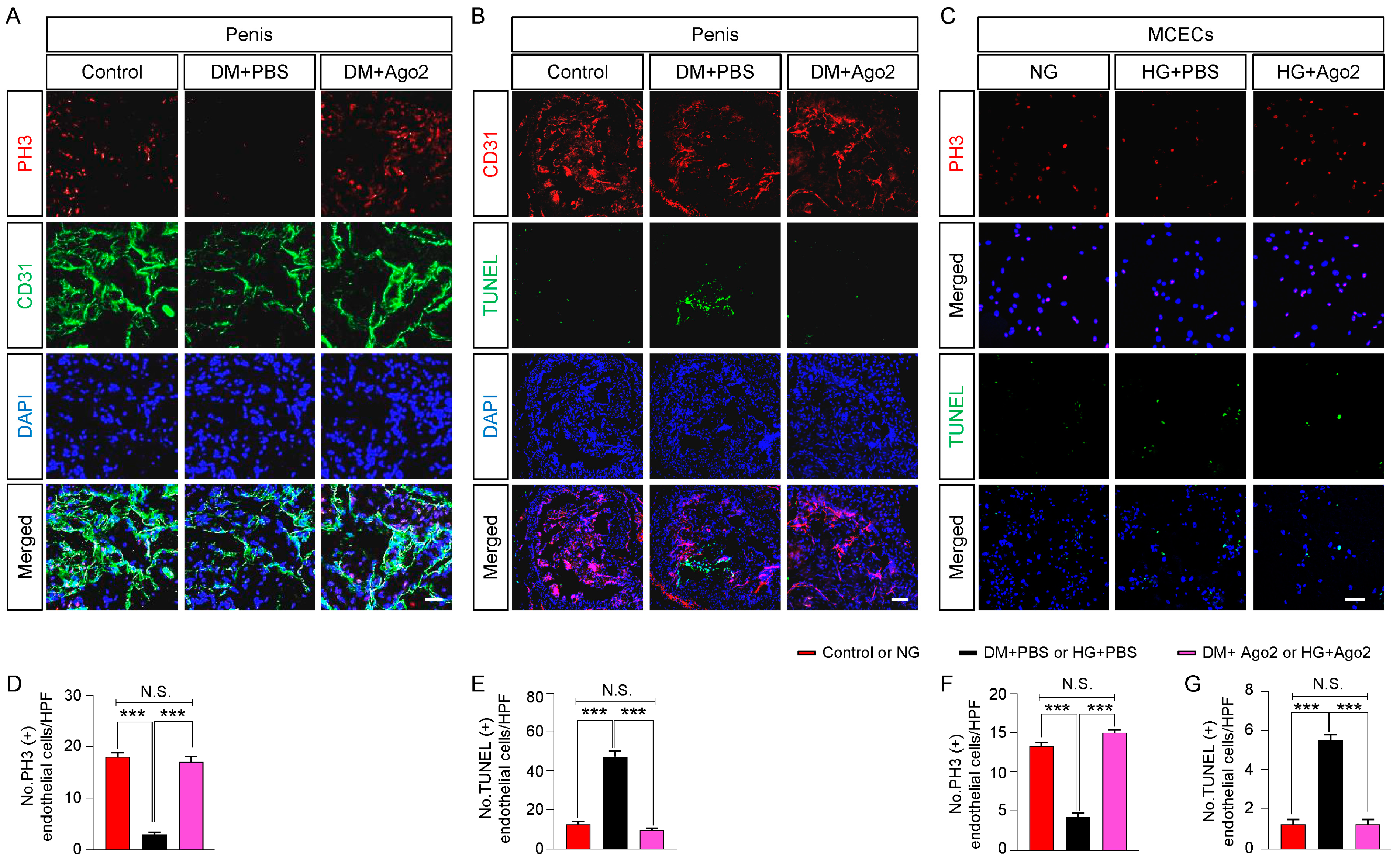 Ijms 24 02935 g004 Ijms 24 02935 g004