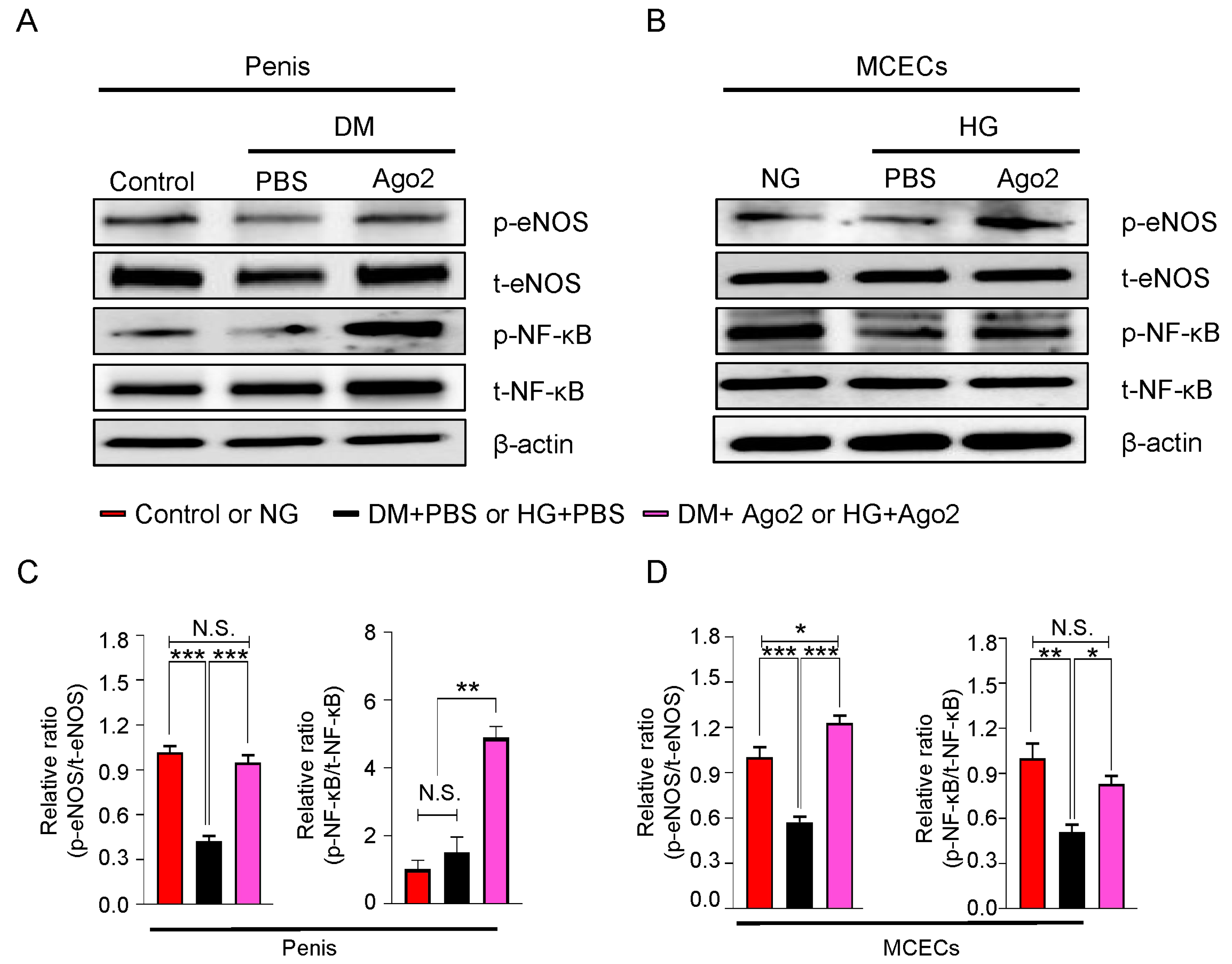 Ijms 24 02935 g006 Ijms 24 02935 g006
