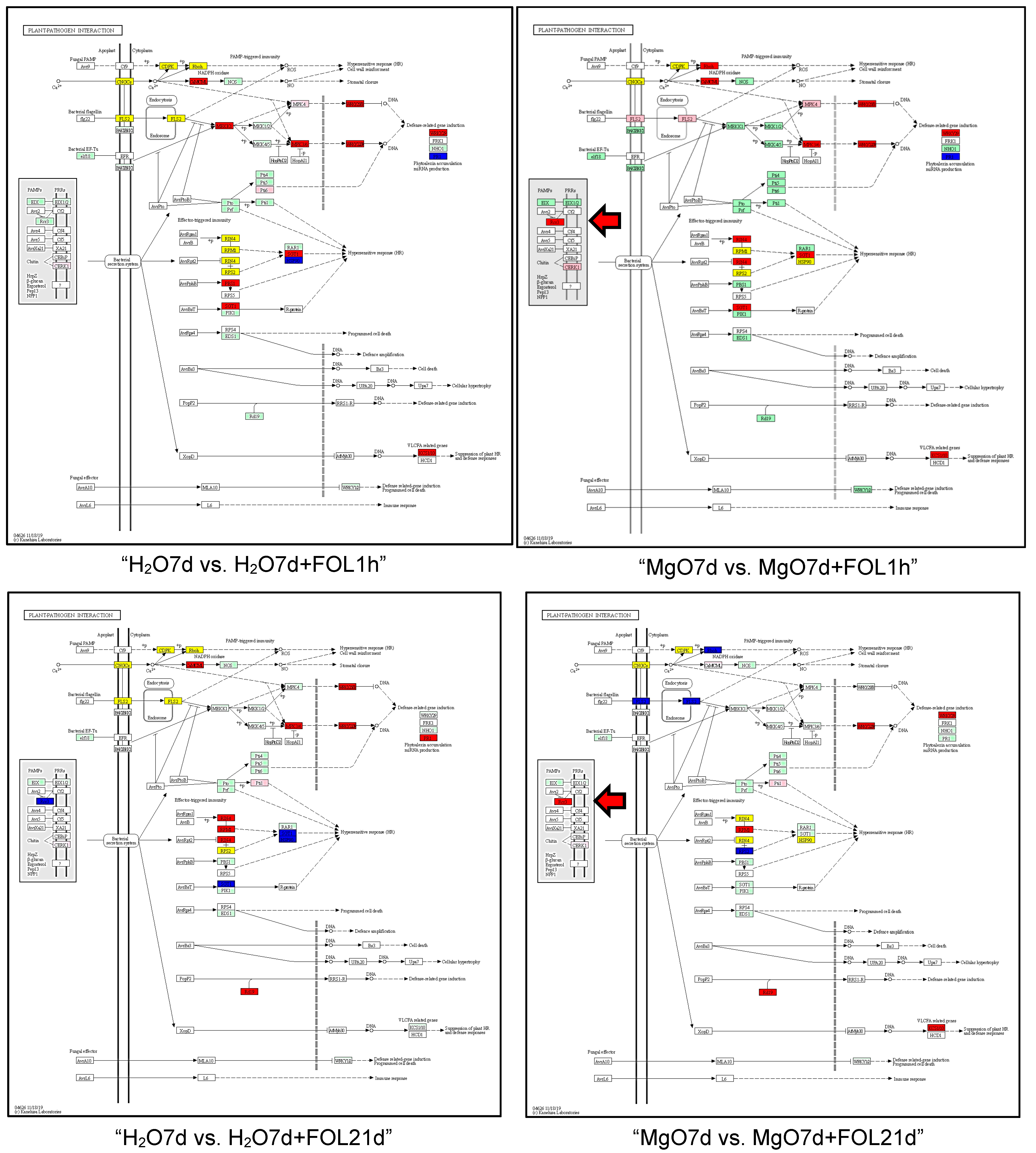 Ijms 24 02941 g004b Ijms 24 02941 g004b