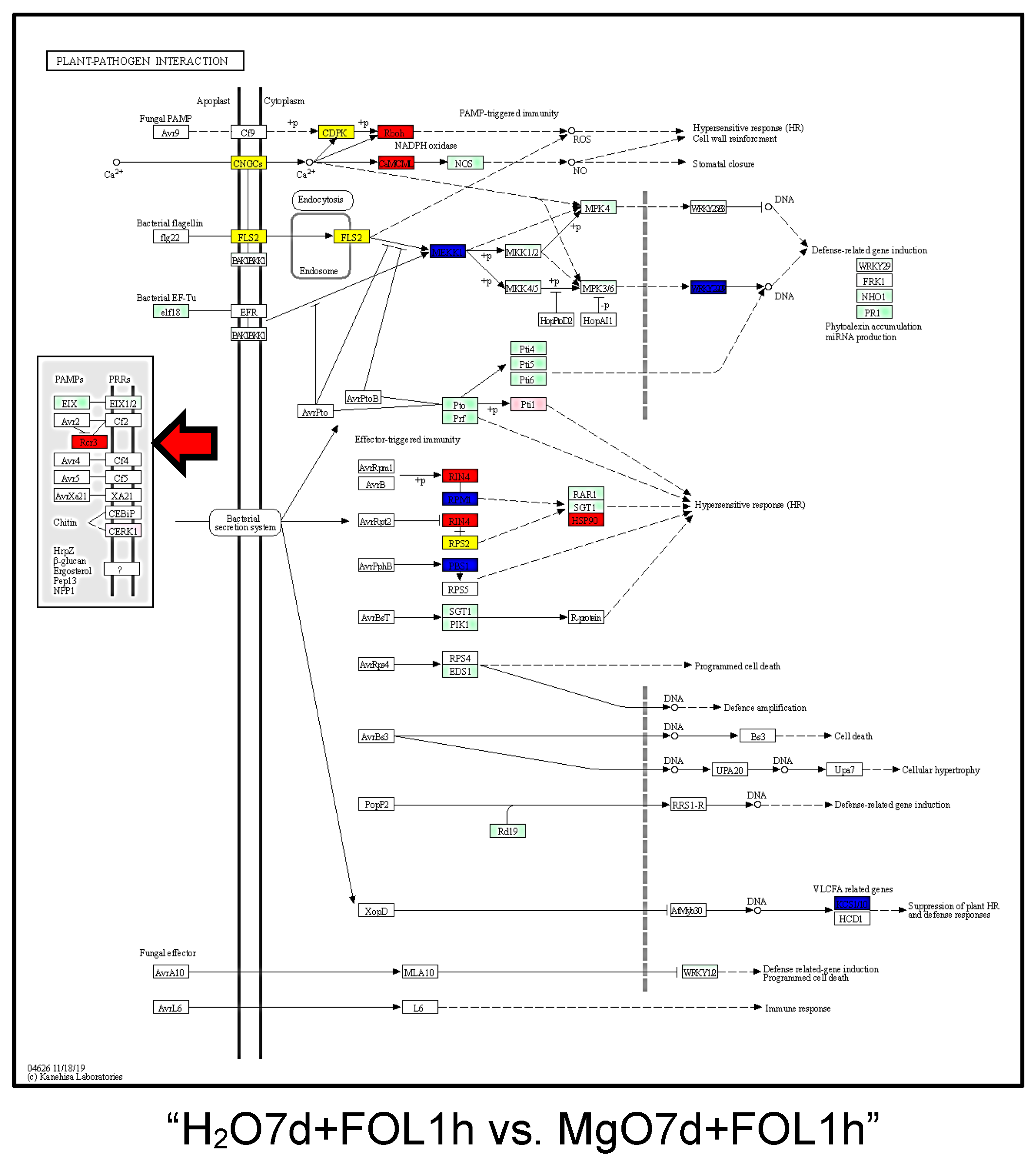 Ijms 24 02941 g004c Ijms 24 02941 g004c