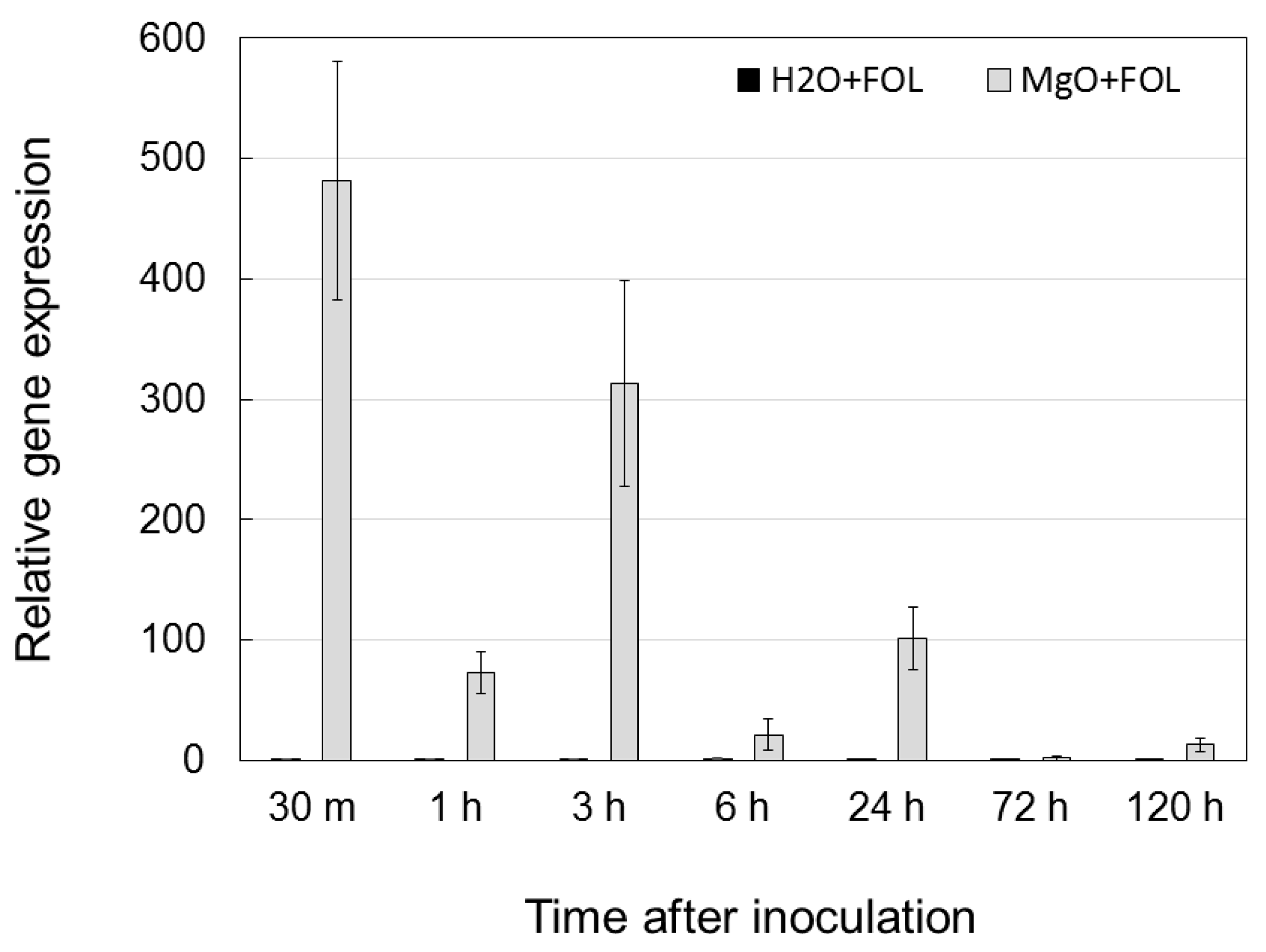 Ijms 24 02941 g007 Ijms 24 02941 g007