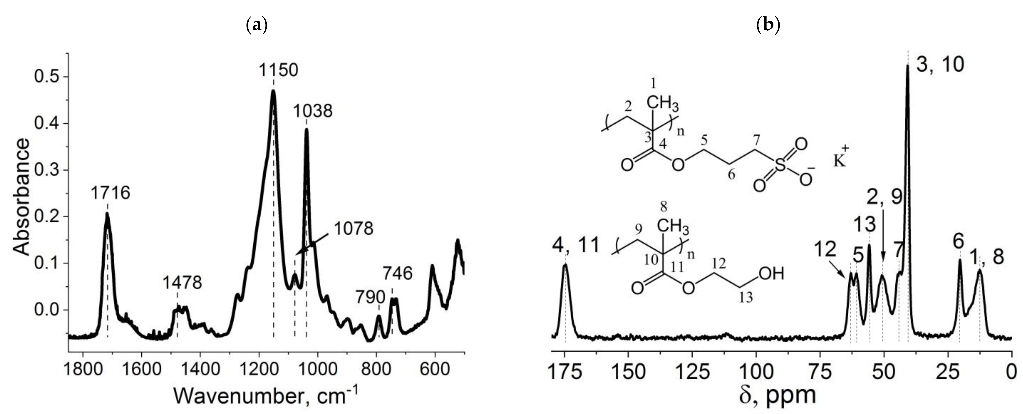 Ijms 24 02949 g003 Ijms 24 02949 g003