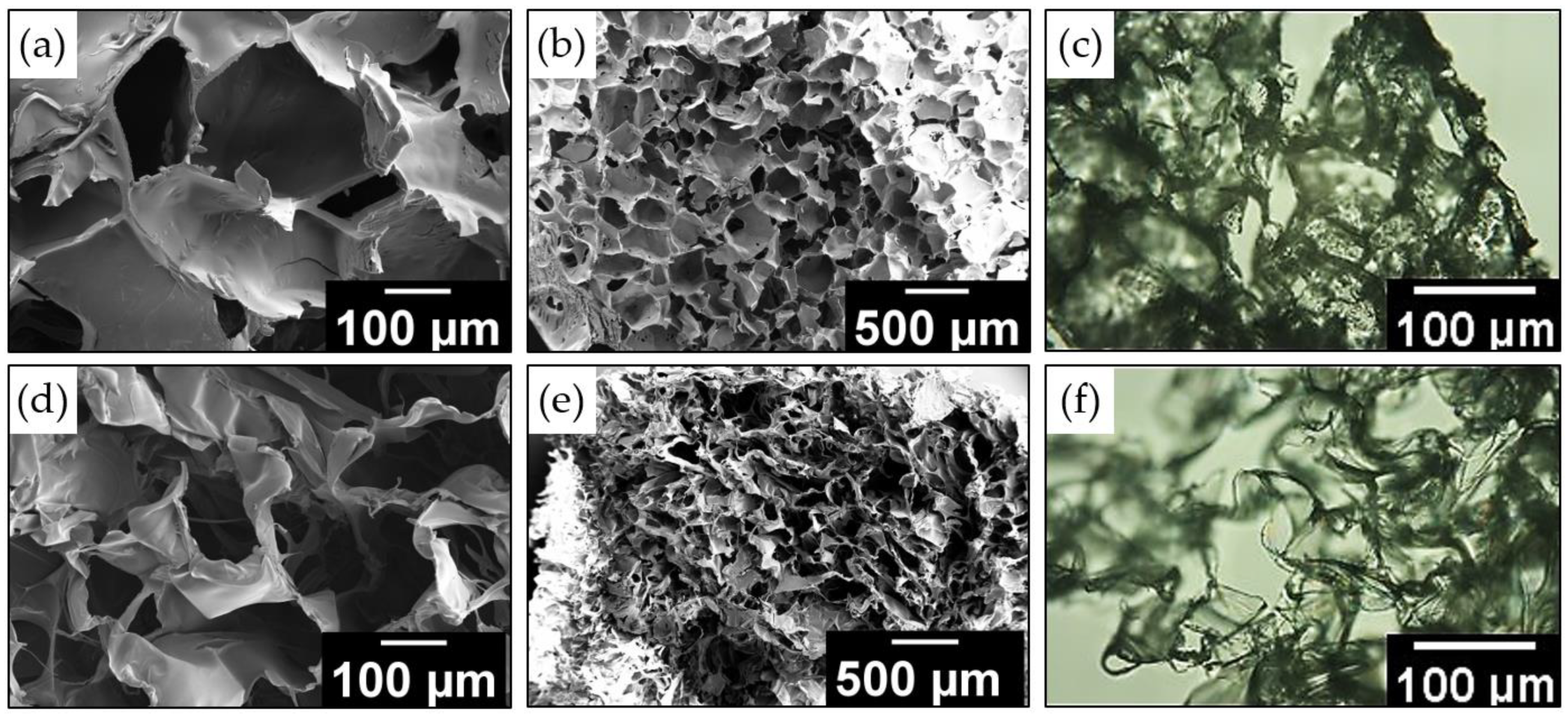 Ijms 24 02949 g004 Ijms 24 02949 g004