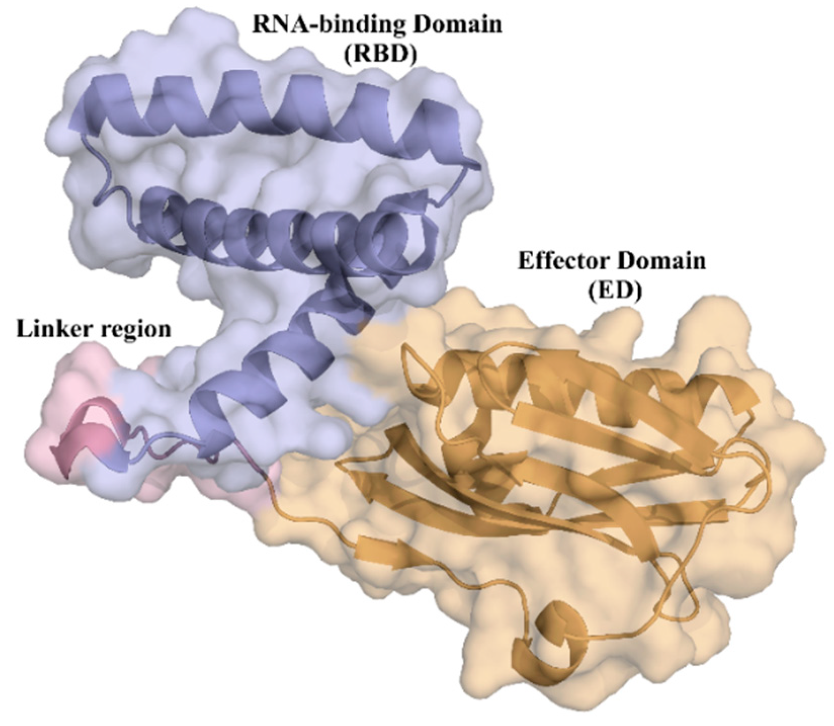 Ijms 24 02977 g001 Ijms 24 02977 g001