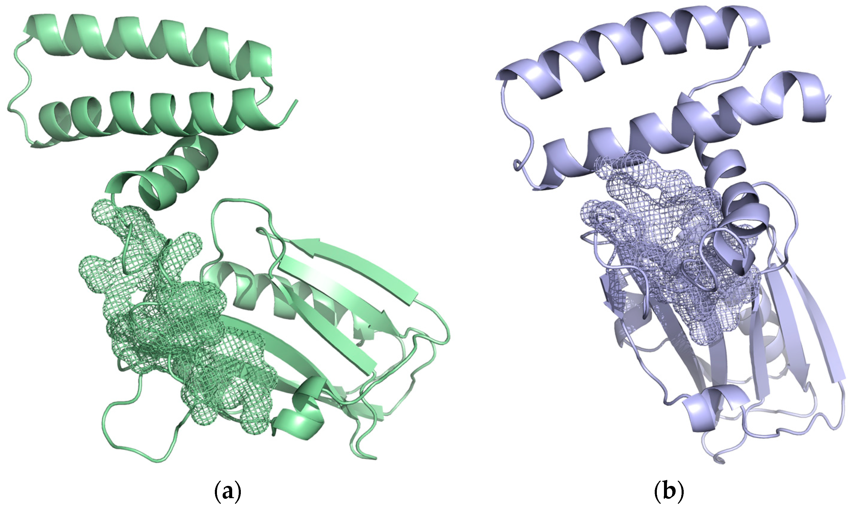 Ijms 24 02977 g005 Ijms 24 02977 g005
