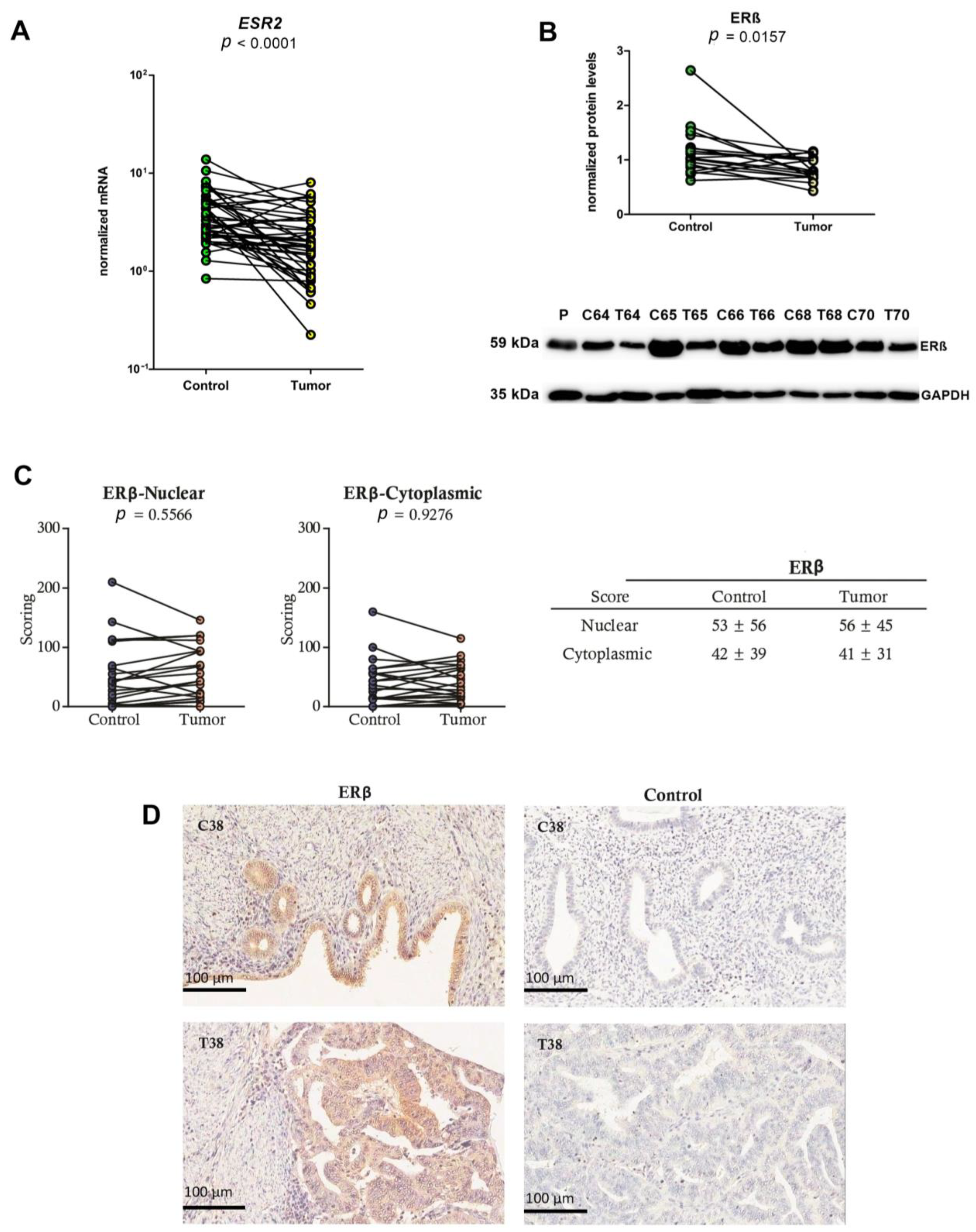 Ijms 24 03009 g003 Ijms 24 03009 g003