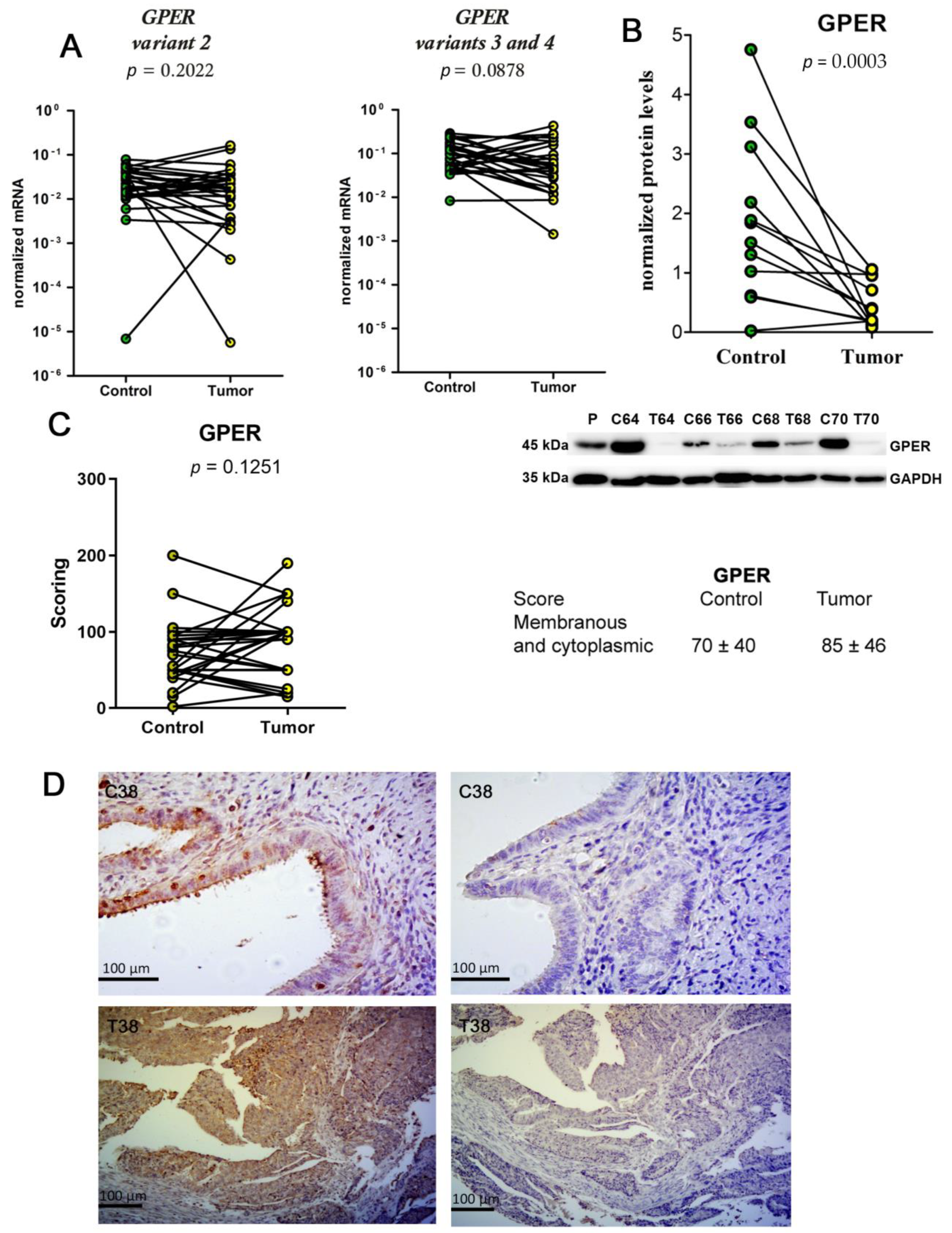 Ijms 24 03009 g005 Ijms 24 03009 g005