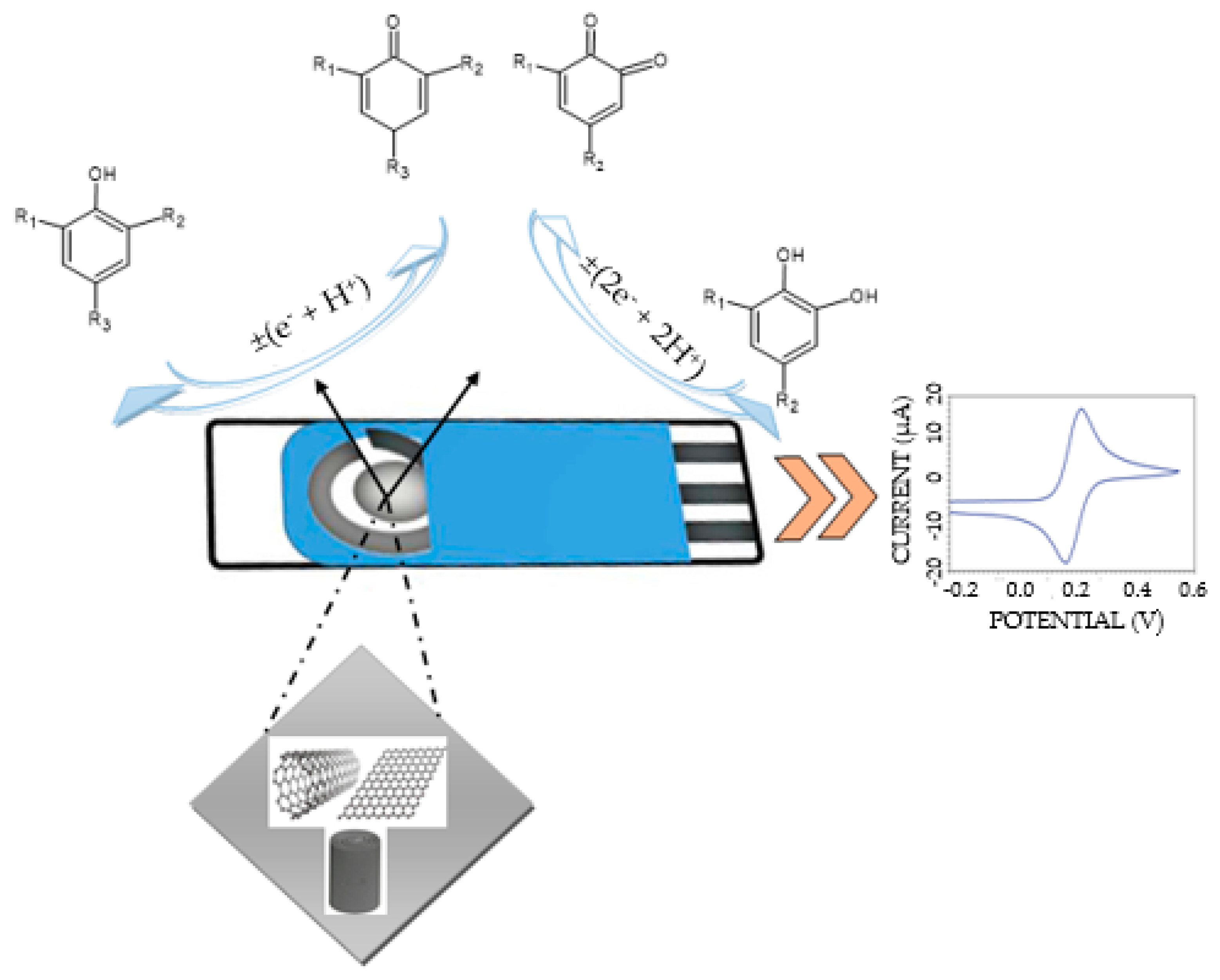 Ijms 24 03010 g003 Ijms 24 03010 g003
