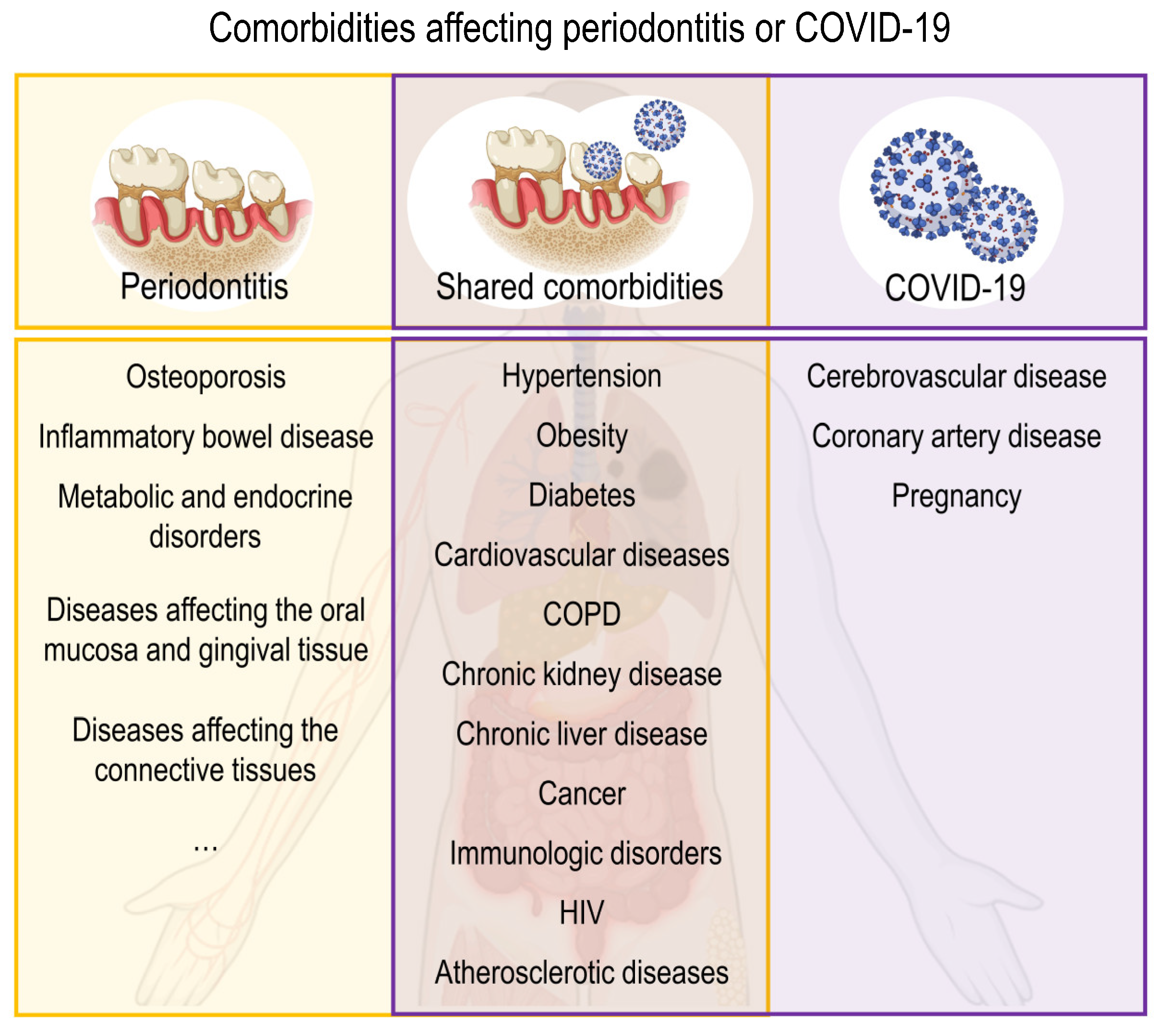 Ijms 24 03012 g004 Ijms 24 03012 g004