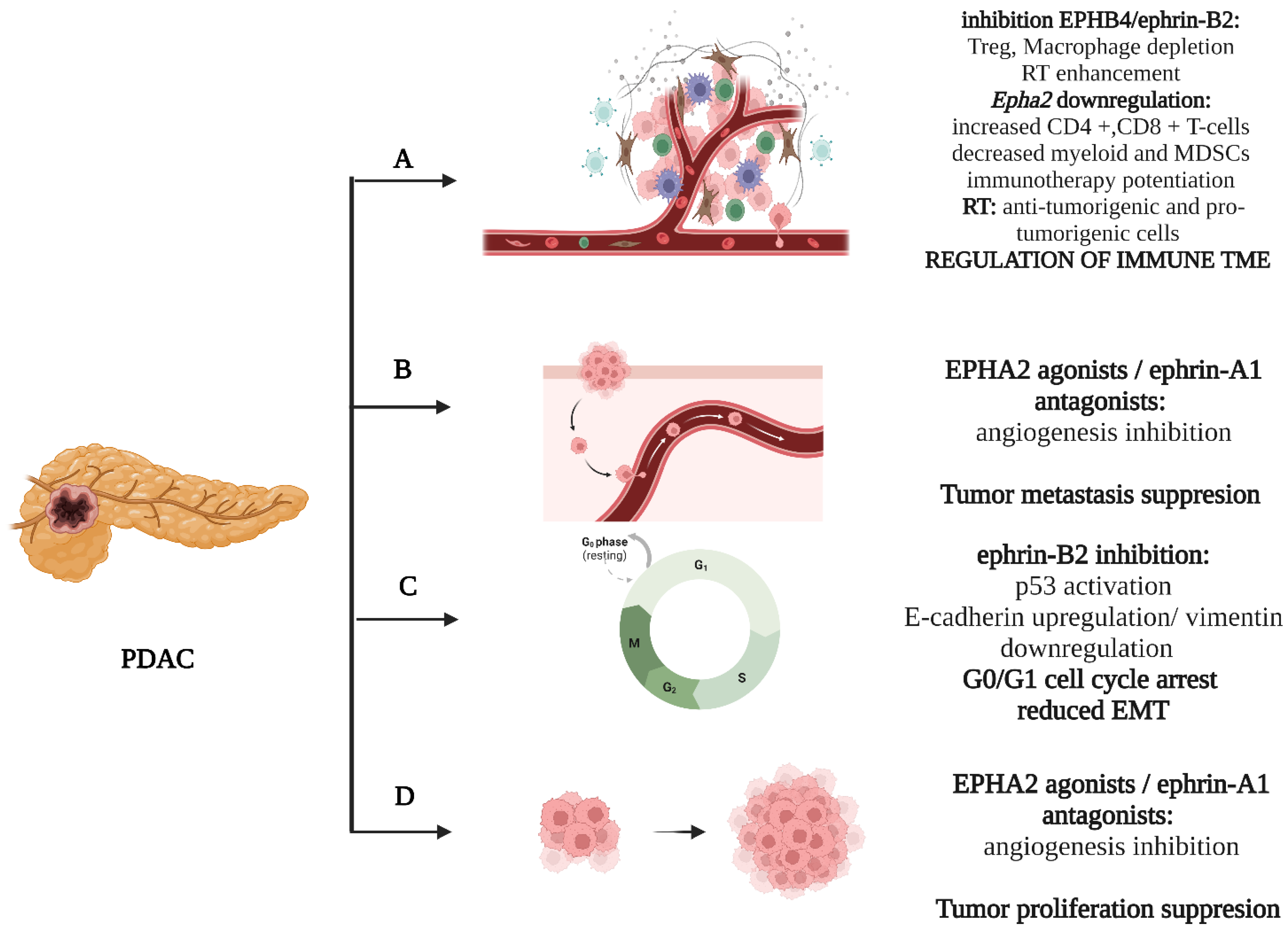 Ijms 24 03015 g002 Ijms 24 03015 g002