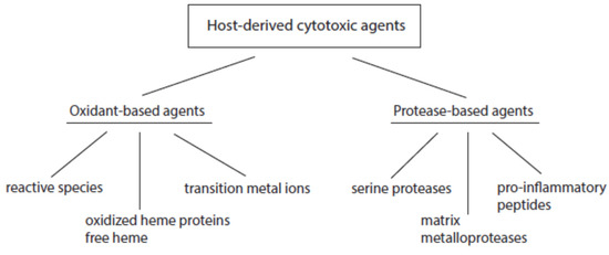 IJMS | Free Full-Text | Host-Derived Cytotoxic Agents in Chronic  Inflammation and Disease Progression