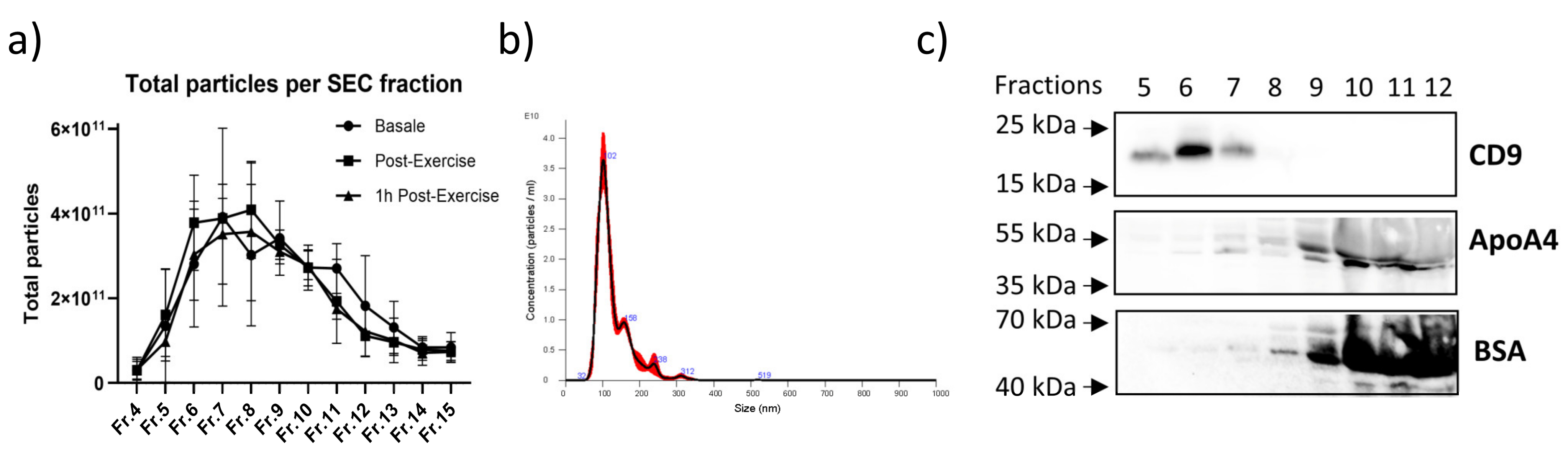 Ijms 24 03039 g007 Ijms 24 03039 g007