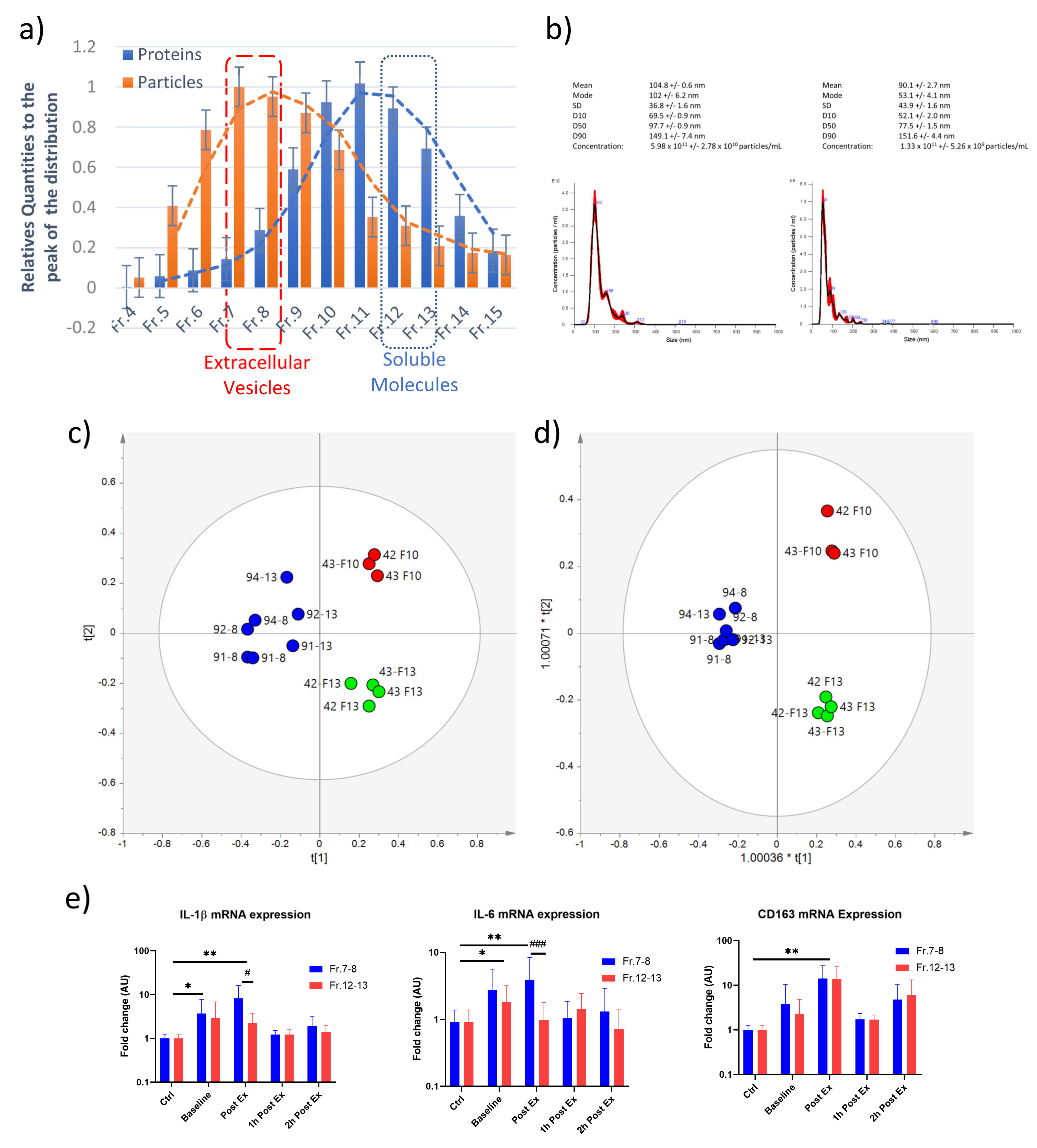Ijms 24 03039 g009 Ijms 24 03039 g009