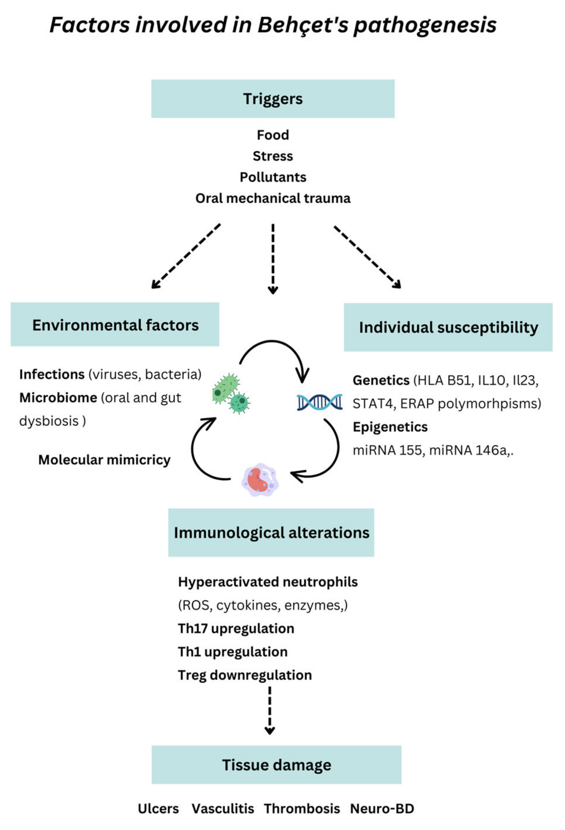 Ijms 24 03041 g004 Ijms 24 03041 g004
