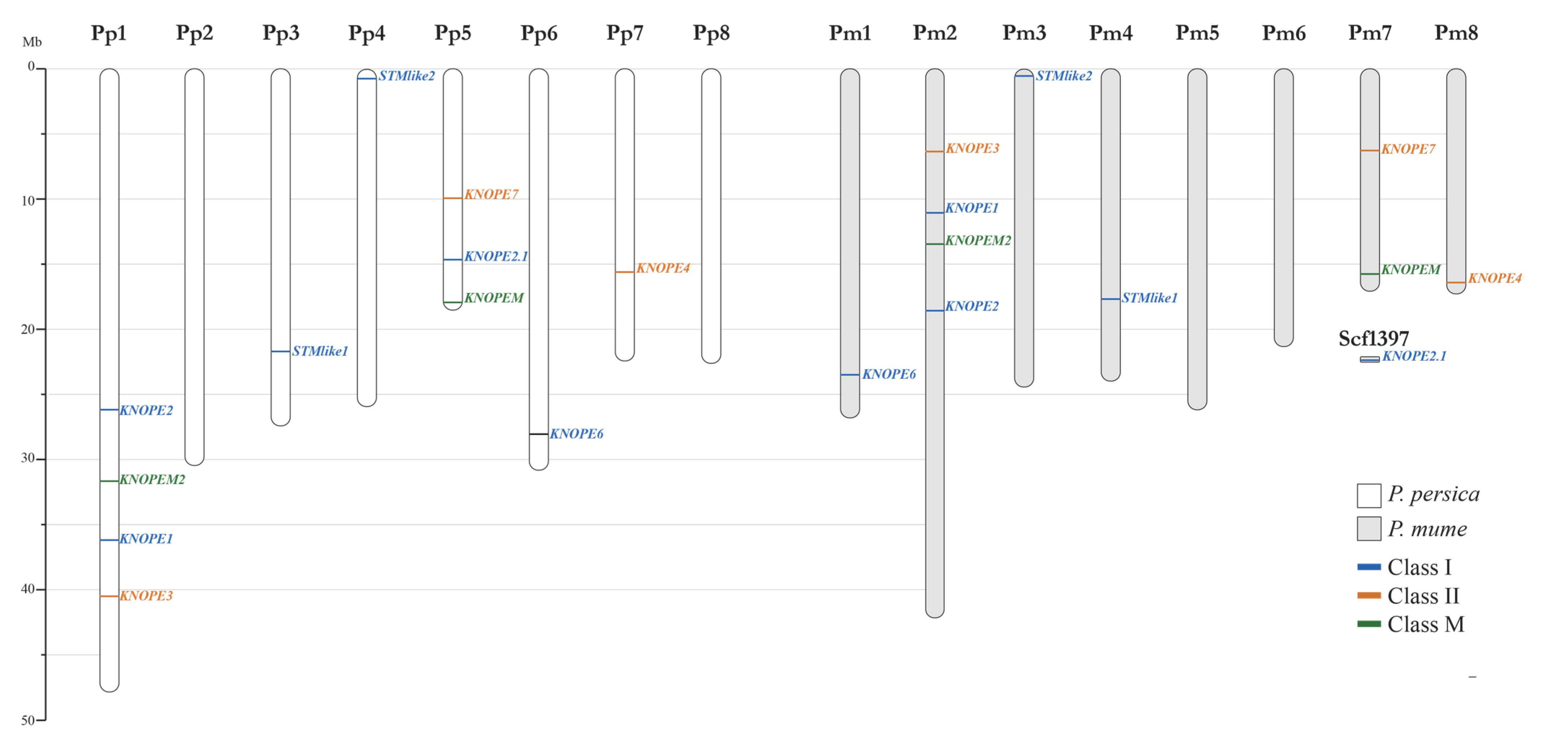 Ijms 24 03046 g002 Ijms 24 03046 g002