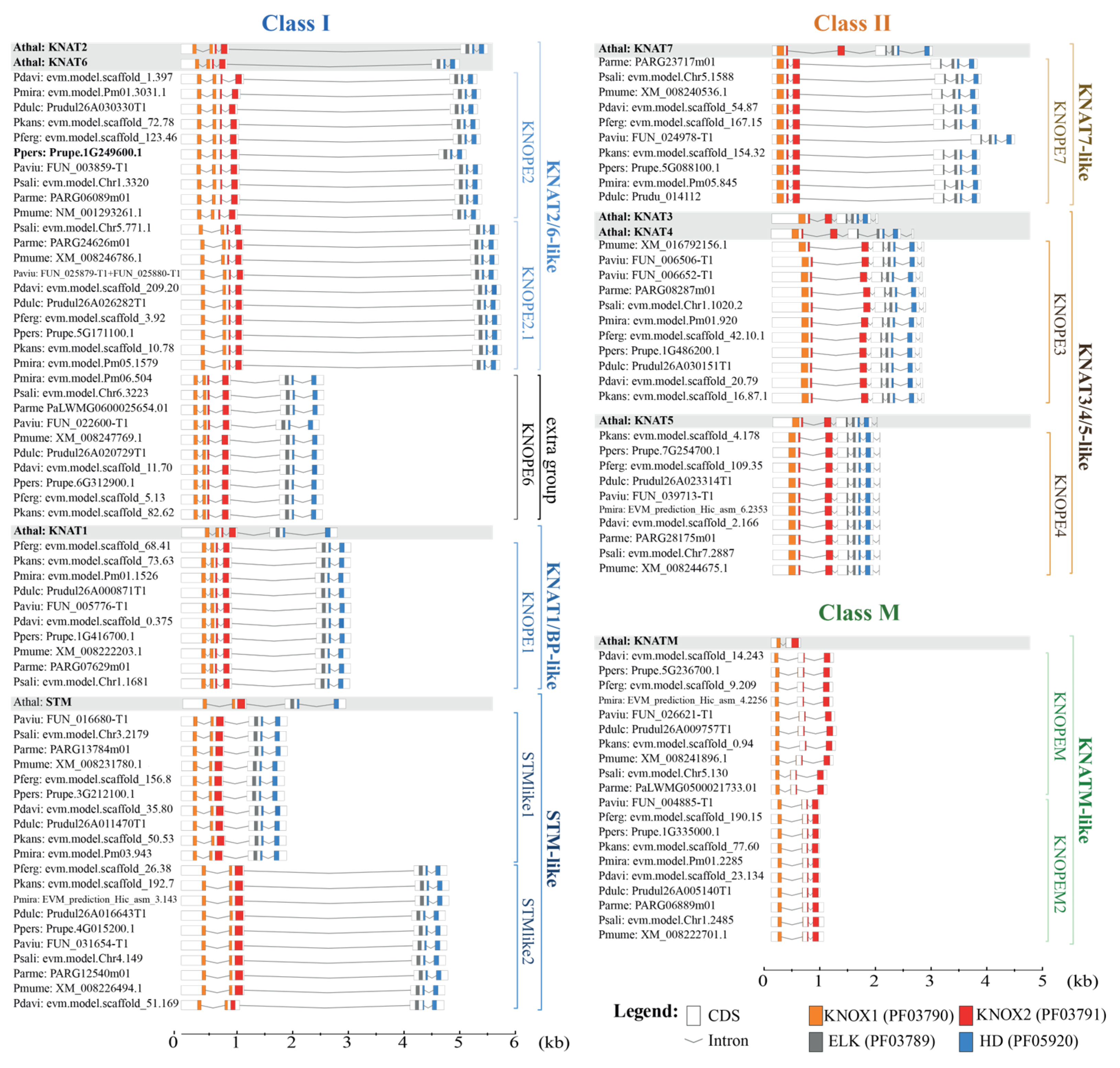 Ijms 24 03046 g003 Ijms 24 03046 g003