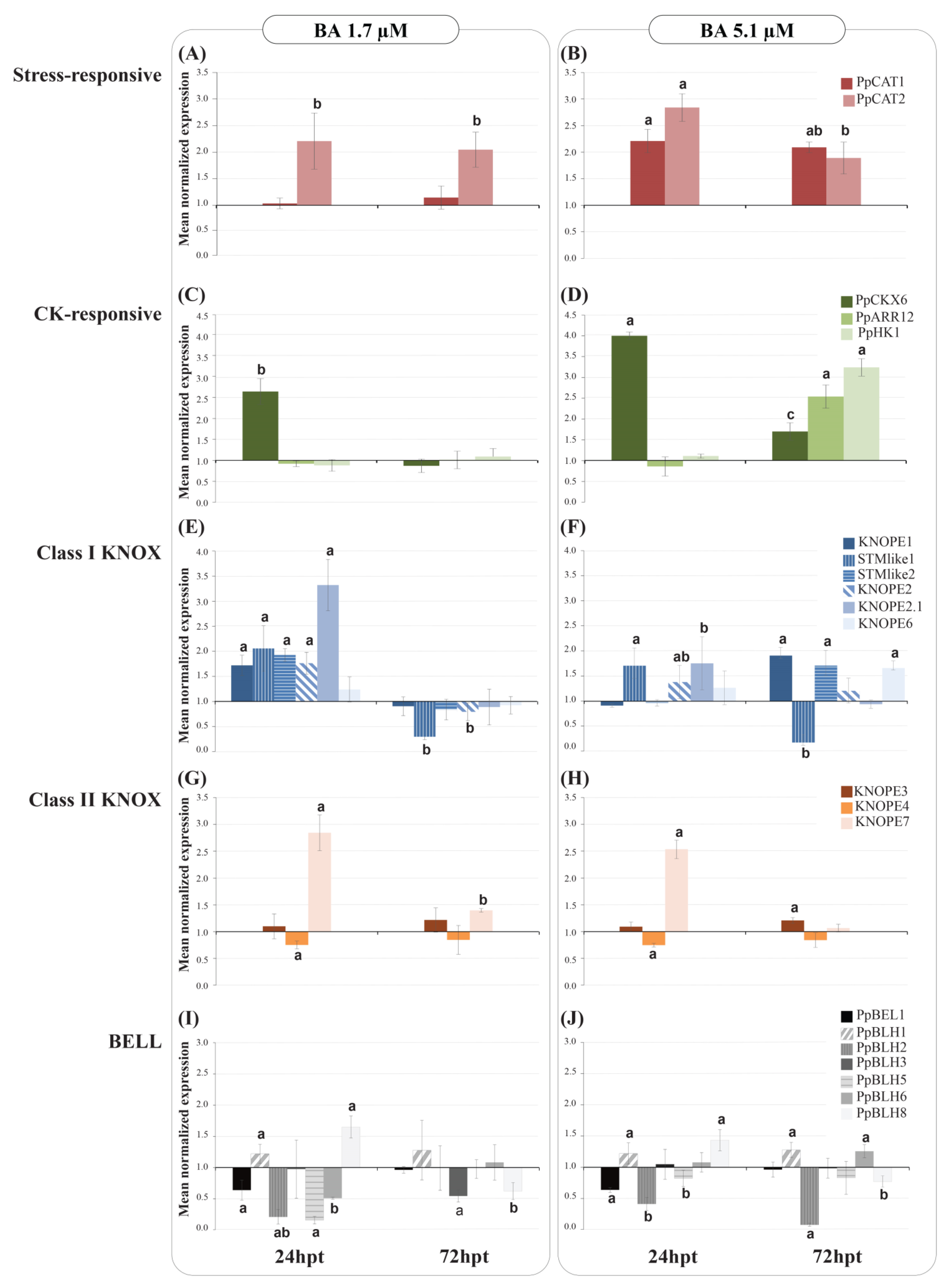 Ijms 24 03046 g007 Ijms 24 03046 g007