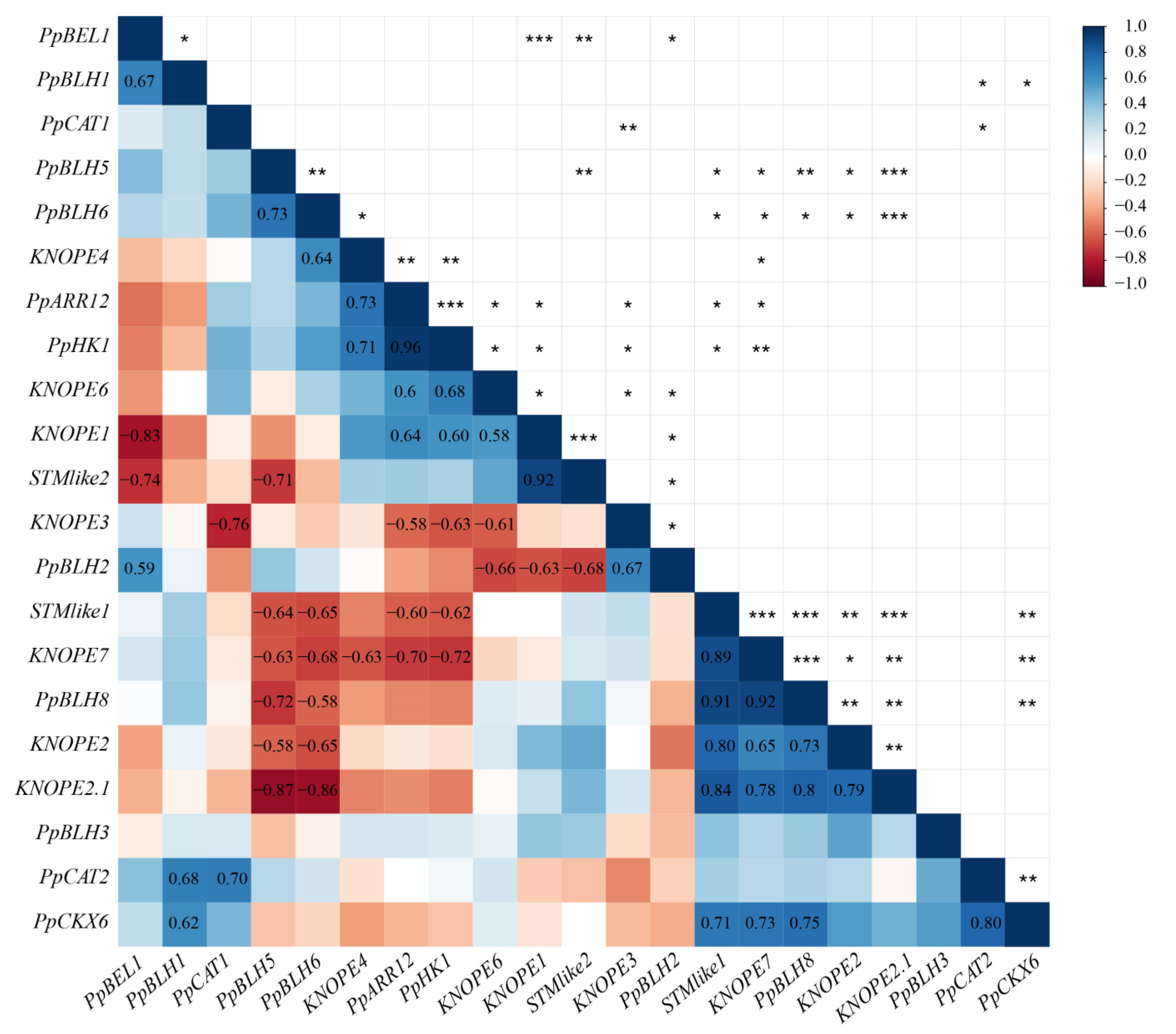 Ijms 24 03046 g008 Ijms 24 03046 g008