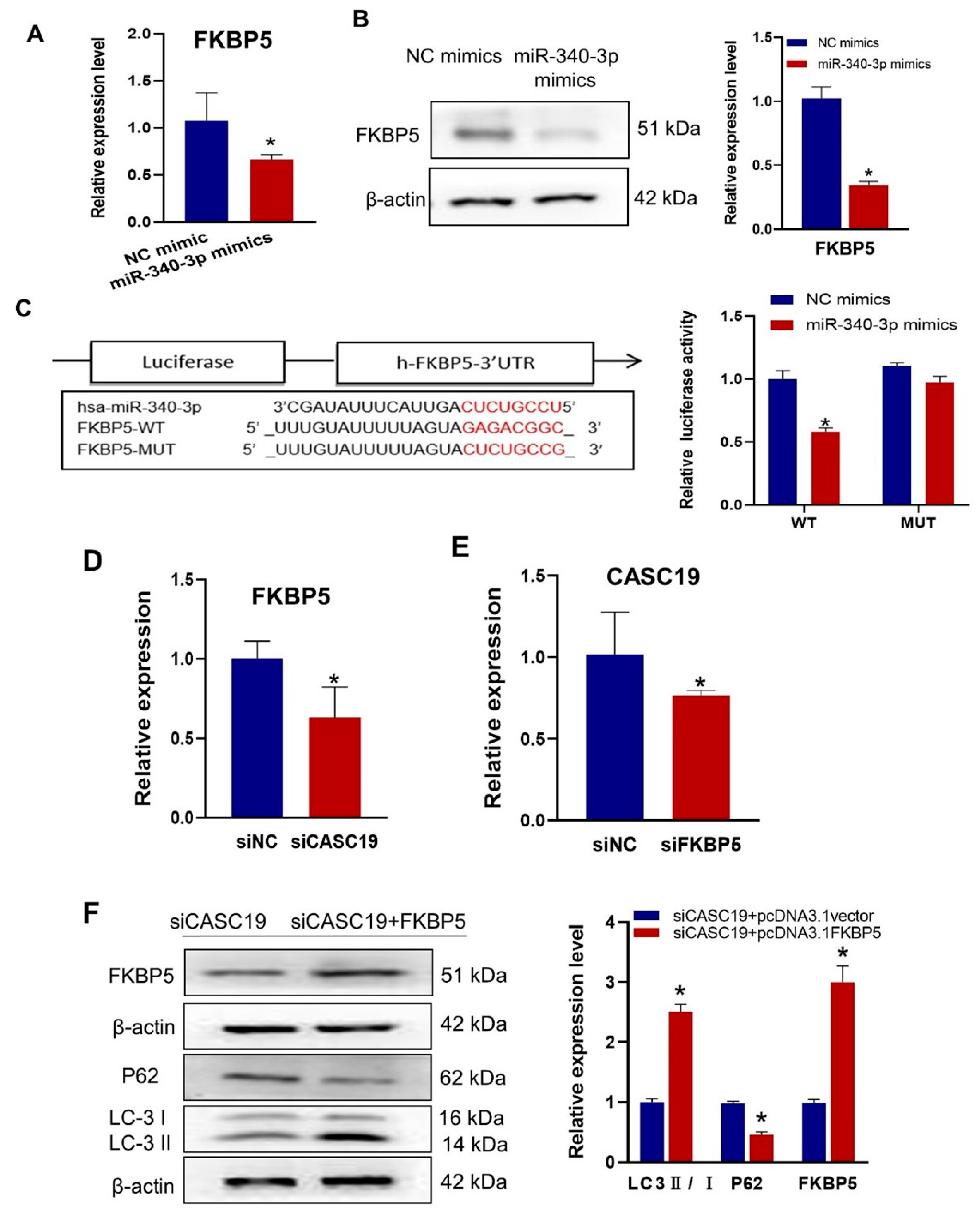 Ijms 24 03047 g005 Ijms 24 03047 g005