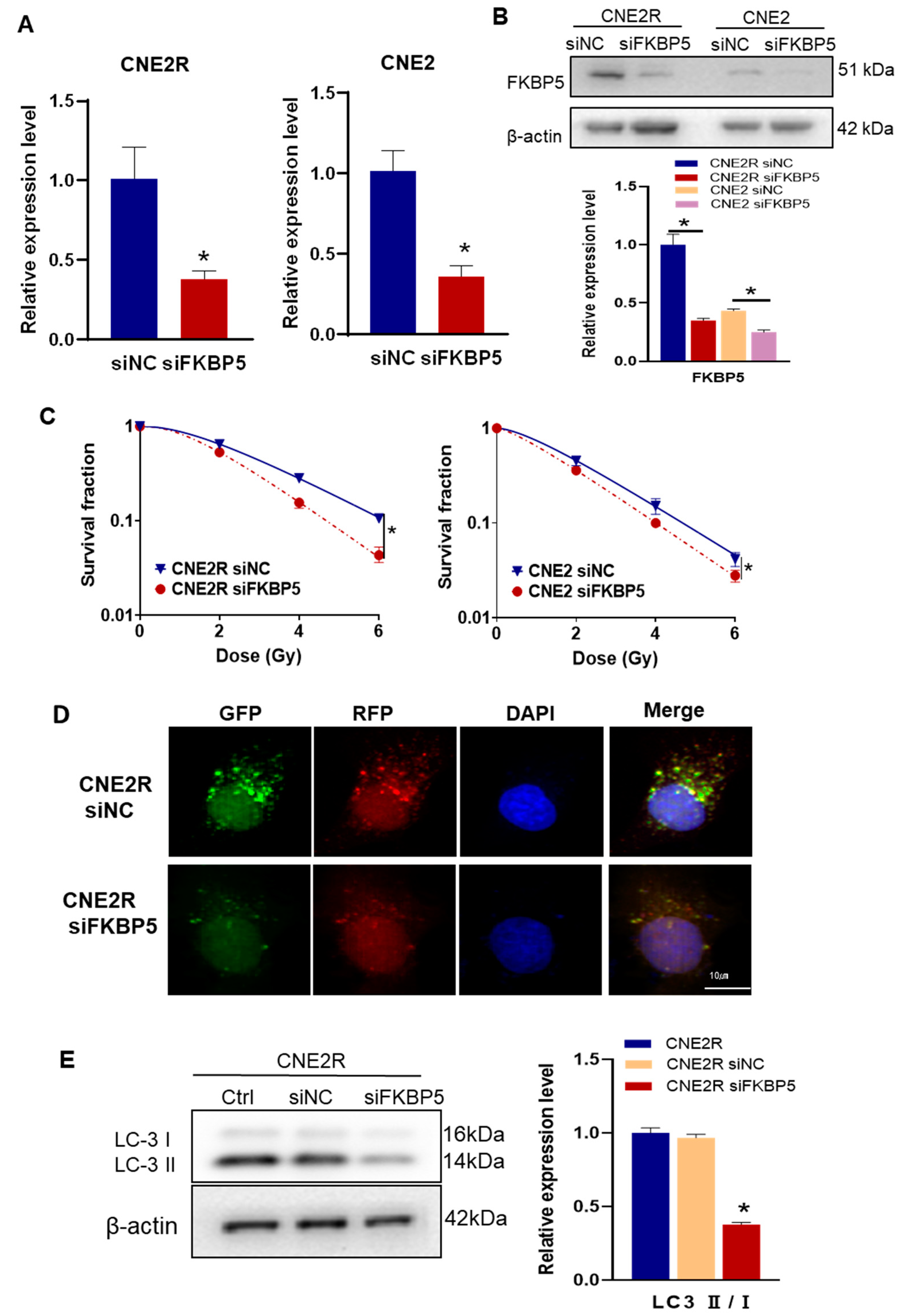 Ijms 24 03047 g006 Ijms 24 03047 g006