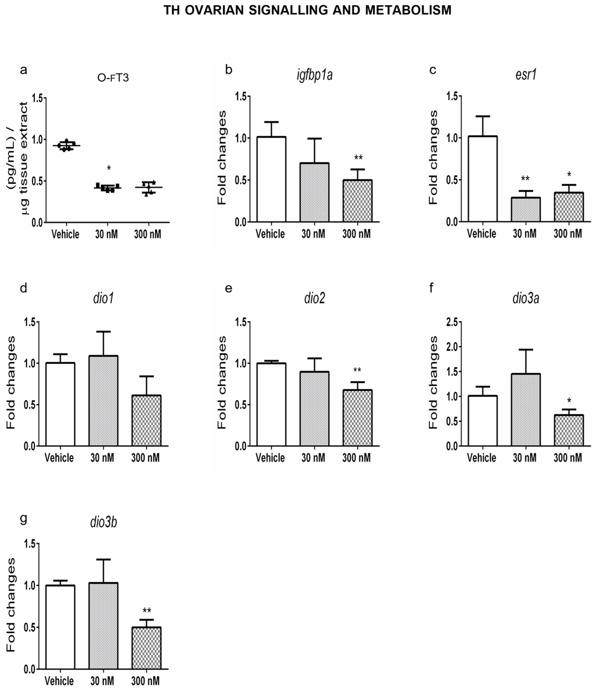 Ijms 24 03054 g003 Ijms 24 03054 g003