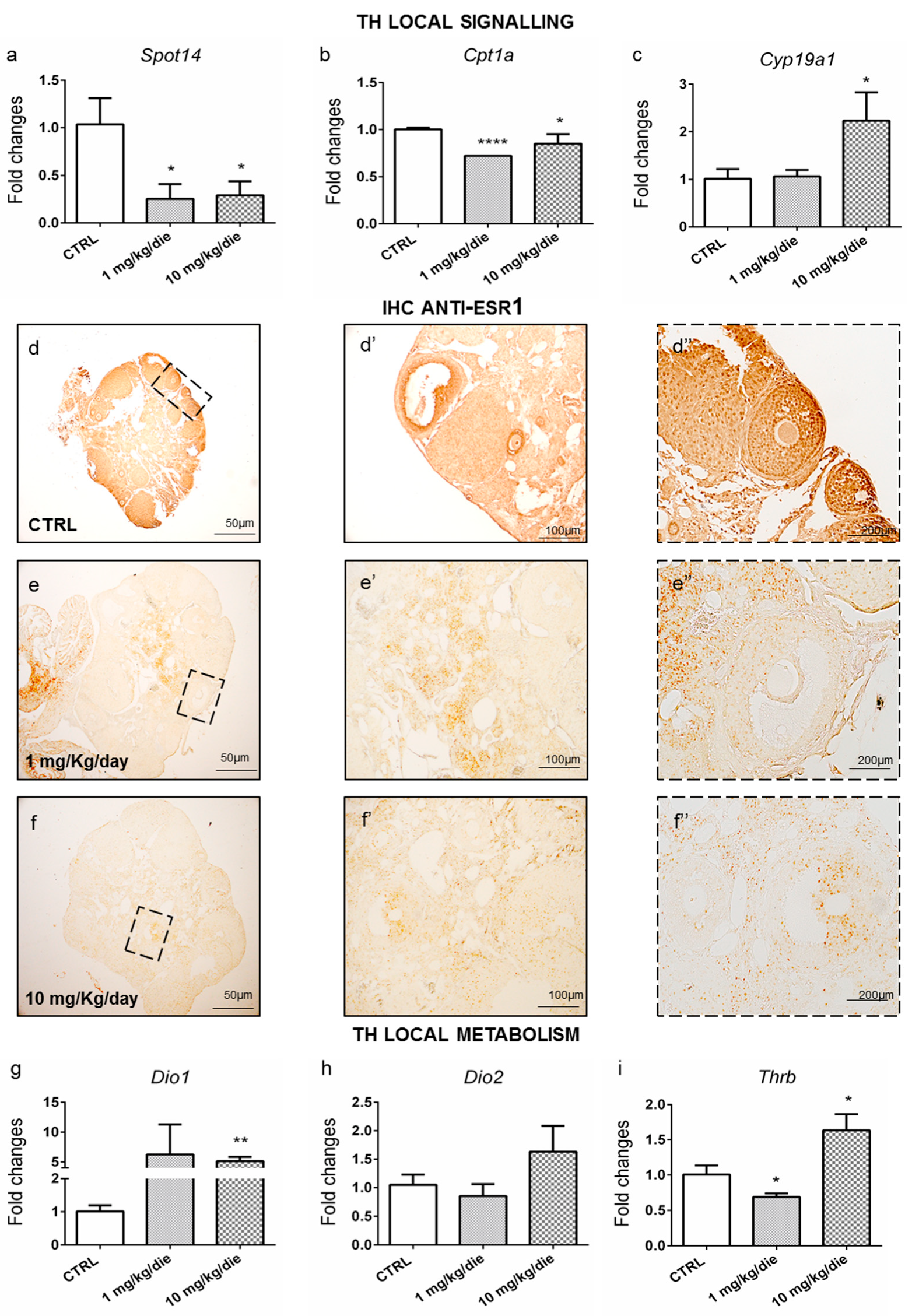 Ijms 24 03054 g005 Ijms 24 03054 g005