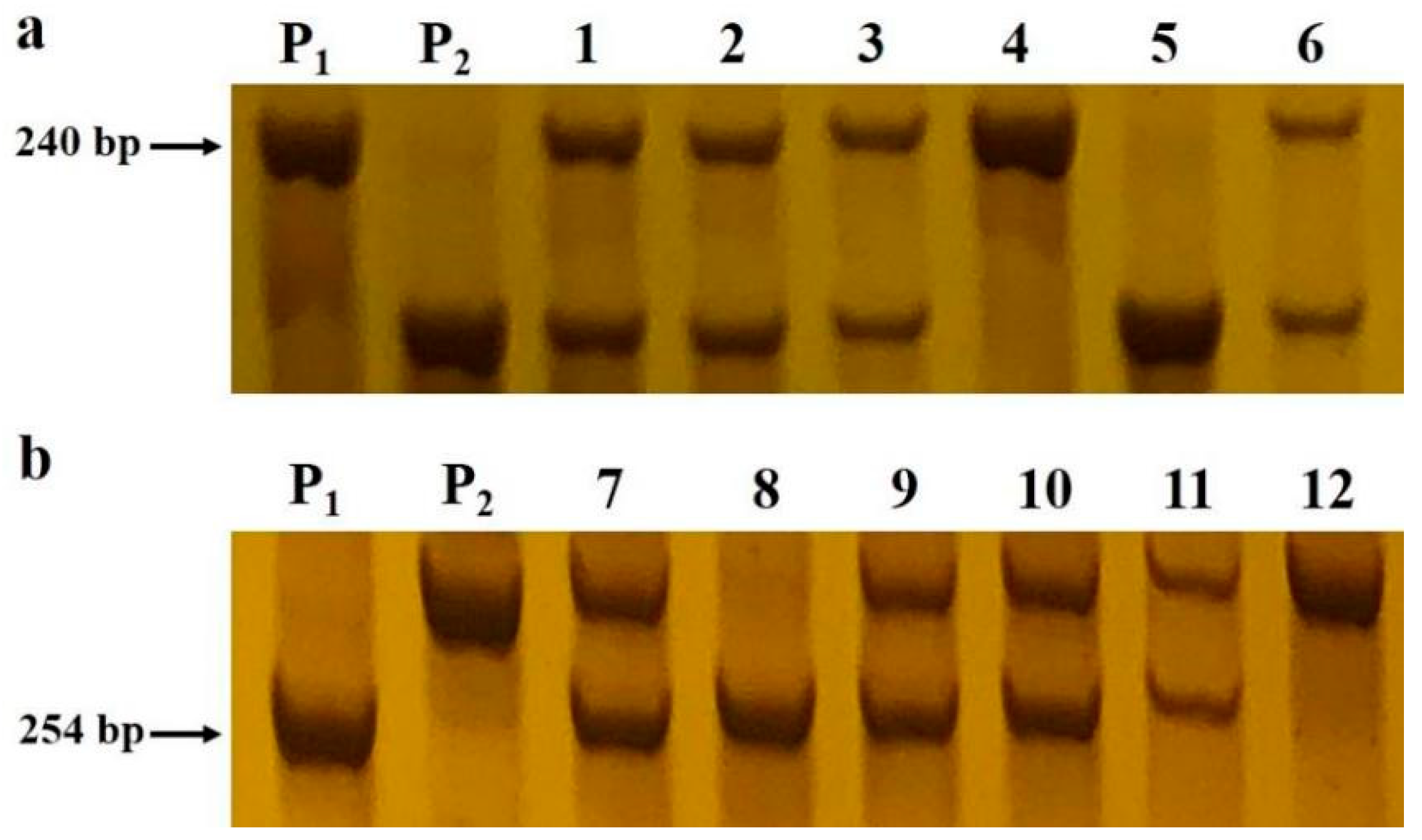 Ijms 24 03069 g003 Ijms 24 03069 g003