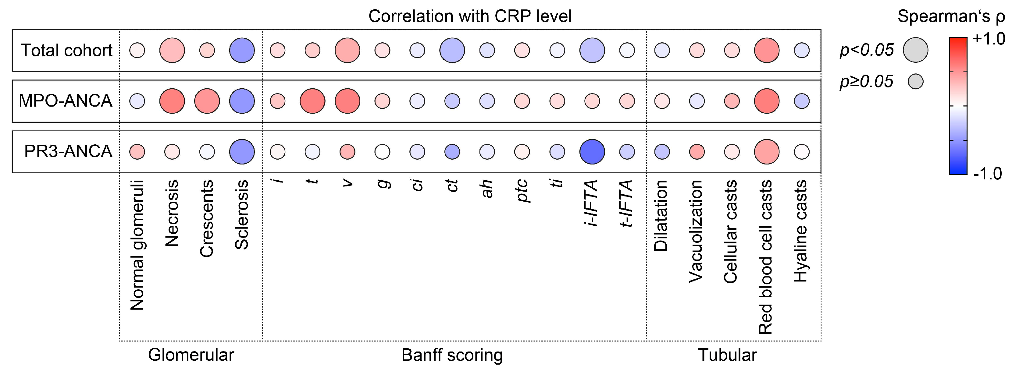 Ijms 24 03072 g002 Ijms 24 03072 g002