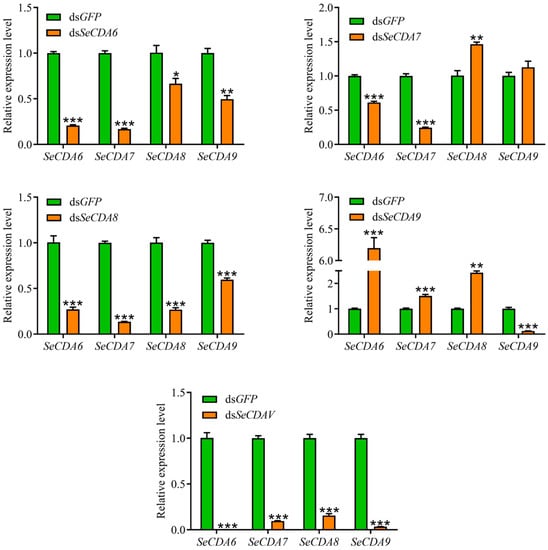 POU-M2 promotes juvenile hormone biosynthesis by directly