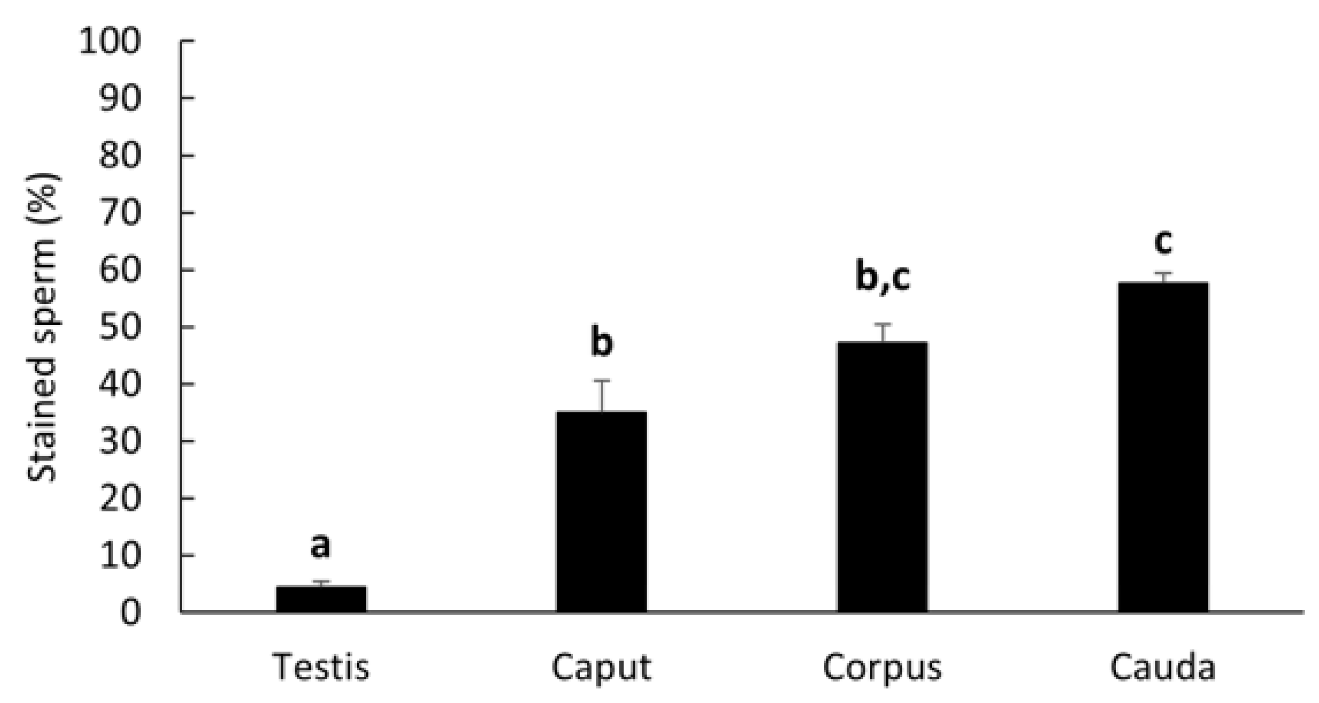Ijms 24 03077 g006 Ijms 24 03077 g006