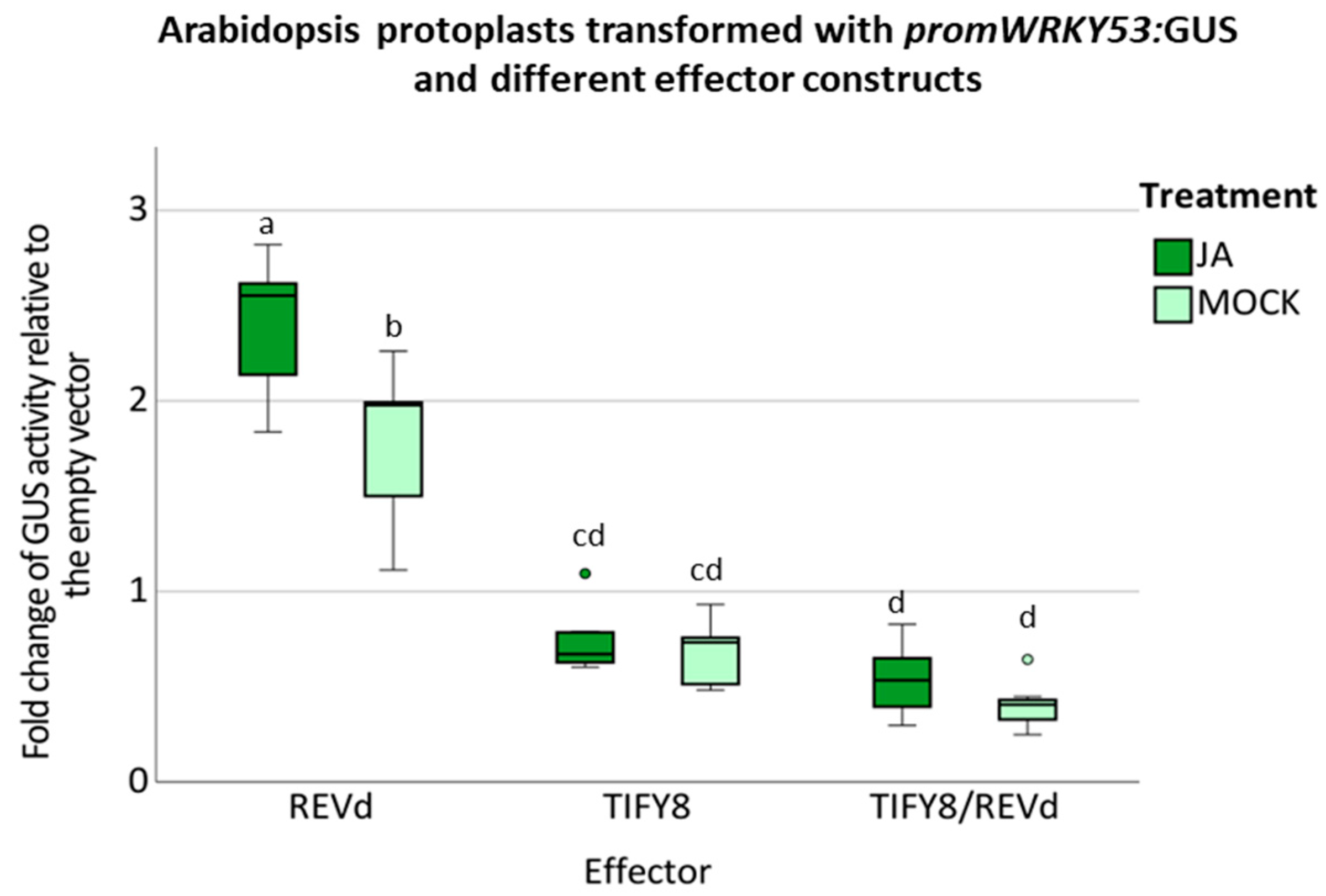 Ijms 24 03079 g003 Ijms 24 03079 g003