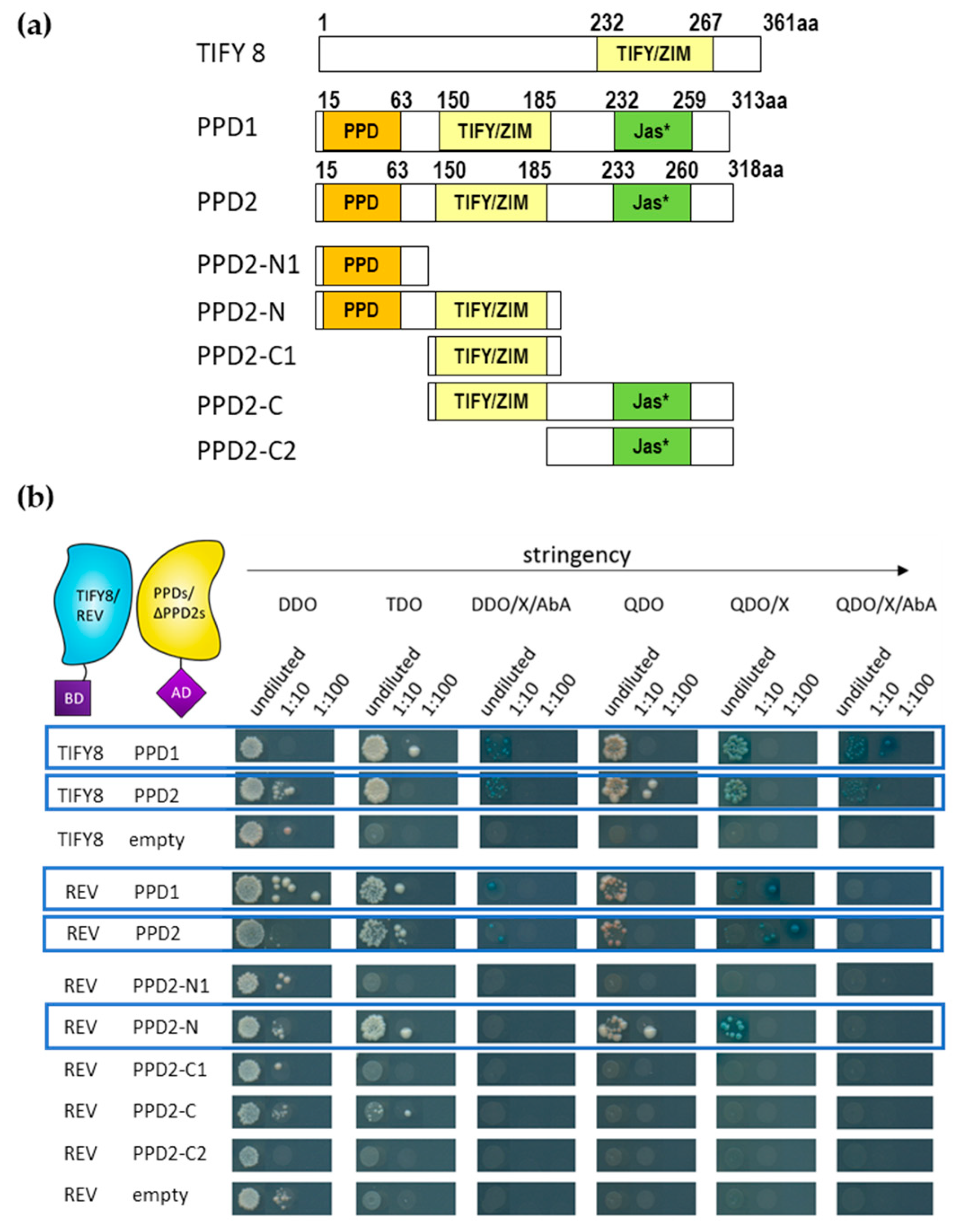 Ijms 24 03079 g008 Ijms 24 03079 g008