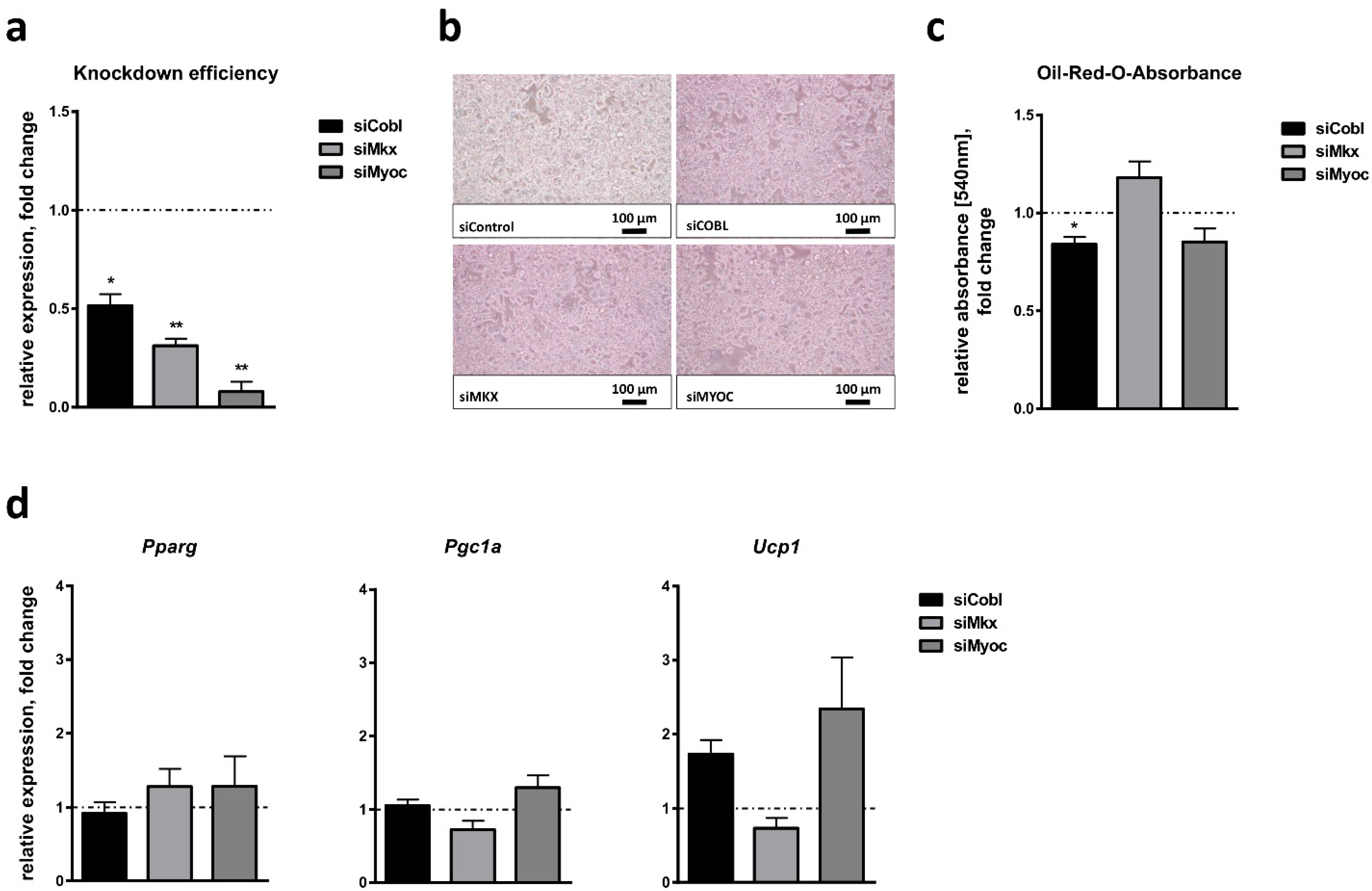 Ijms 24 03085 g006 Ijms 24 03085 g006