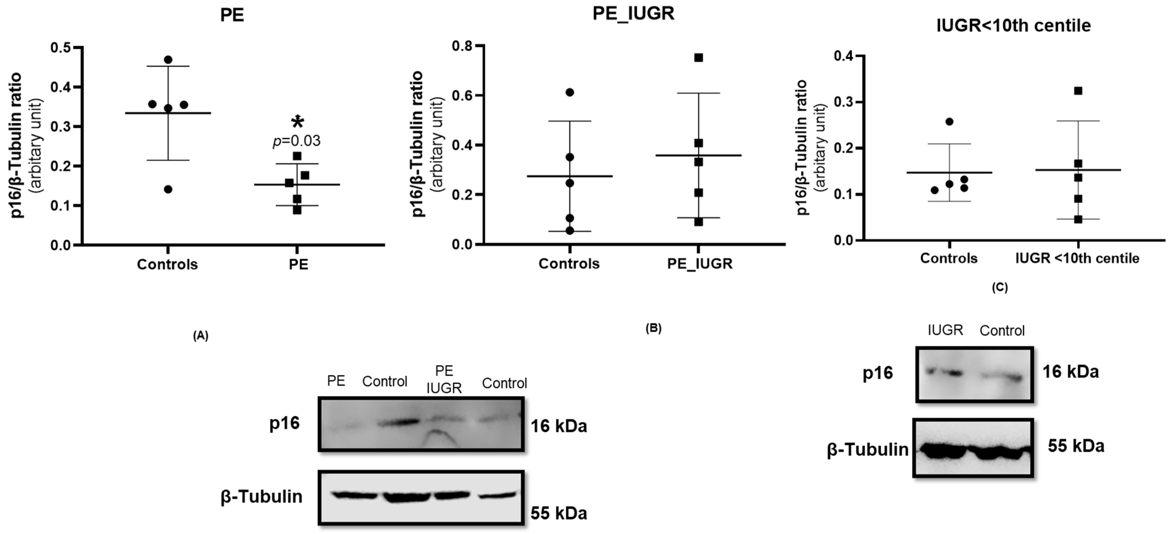 Ijms 24 03101 g004 Ijms 24 03101 g004