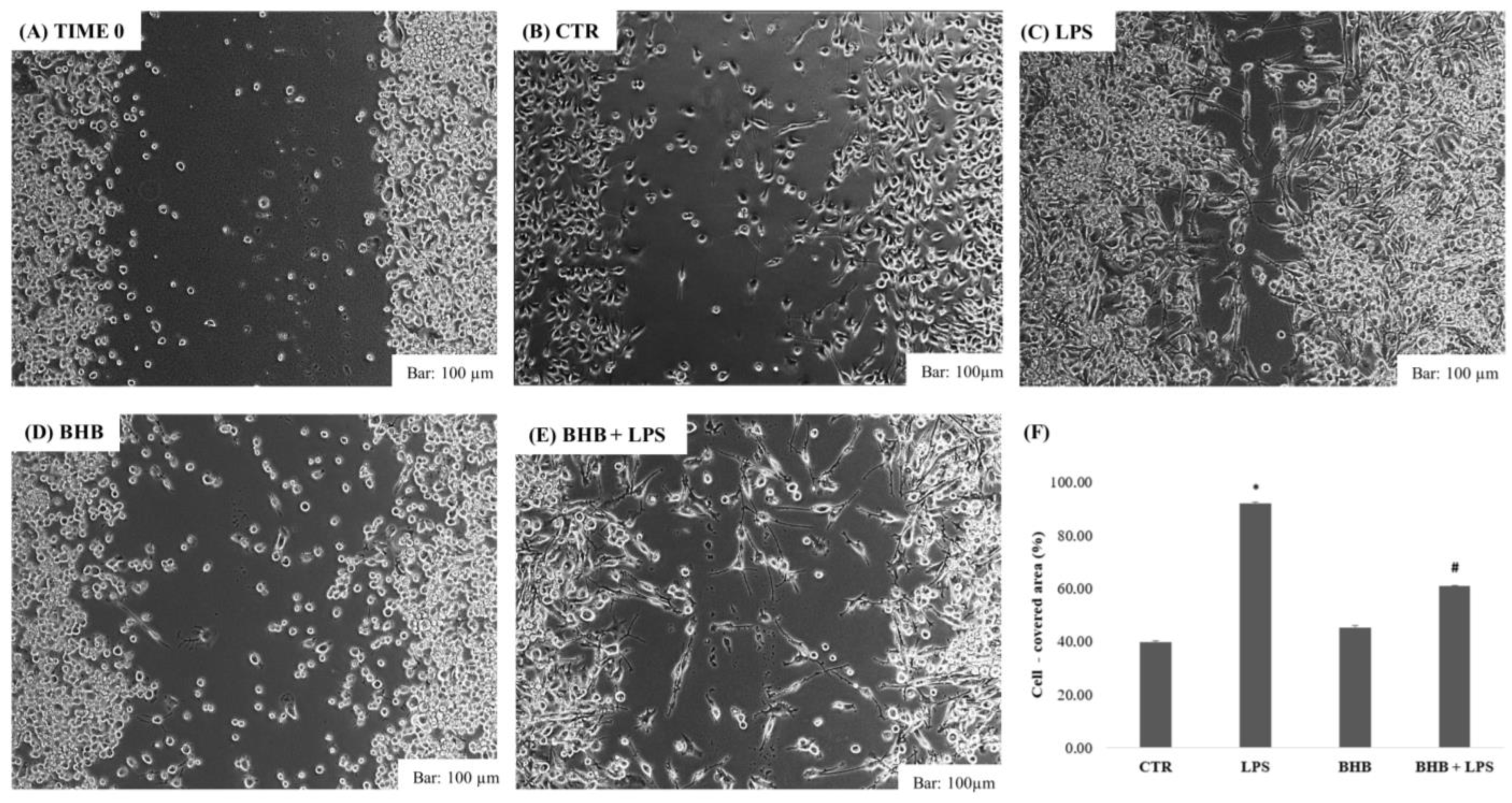 Ijms 24 03102 g003 Ijms 24 03102 g003