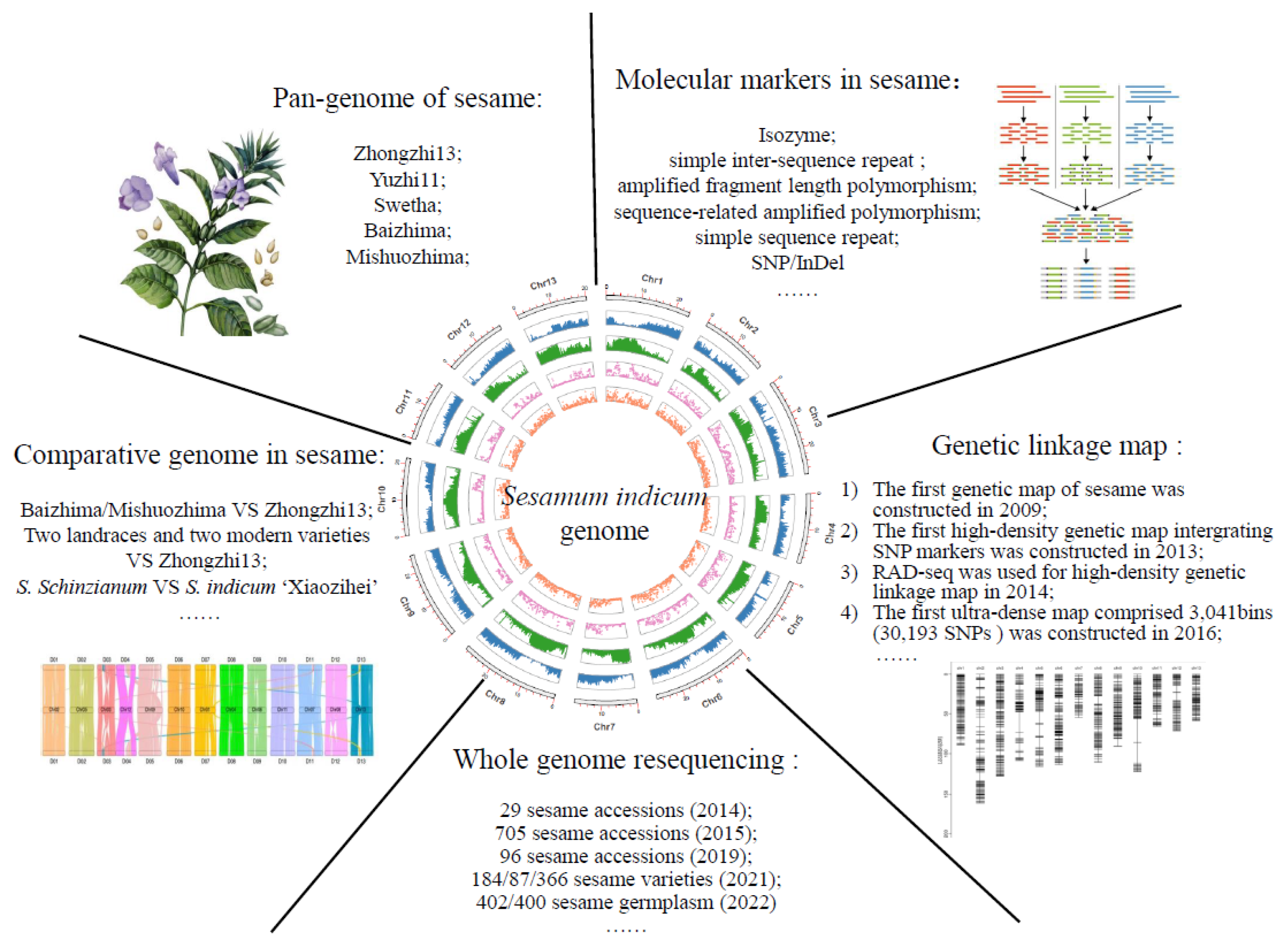 Ijms 24 03105 g001 Ijms 24 03105 g001