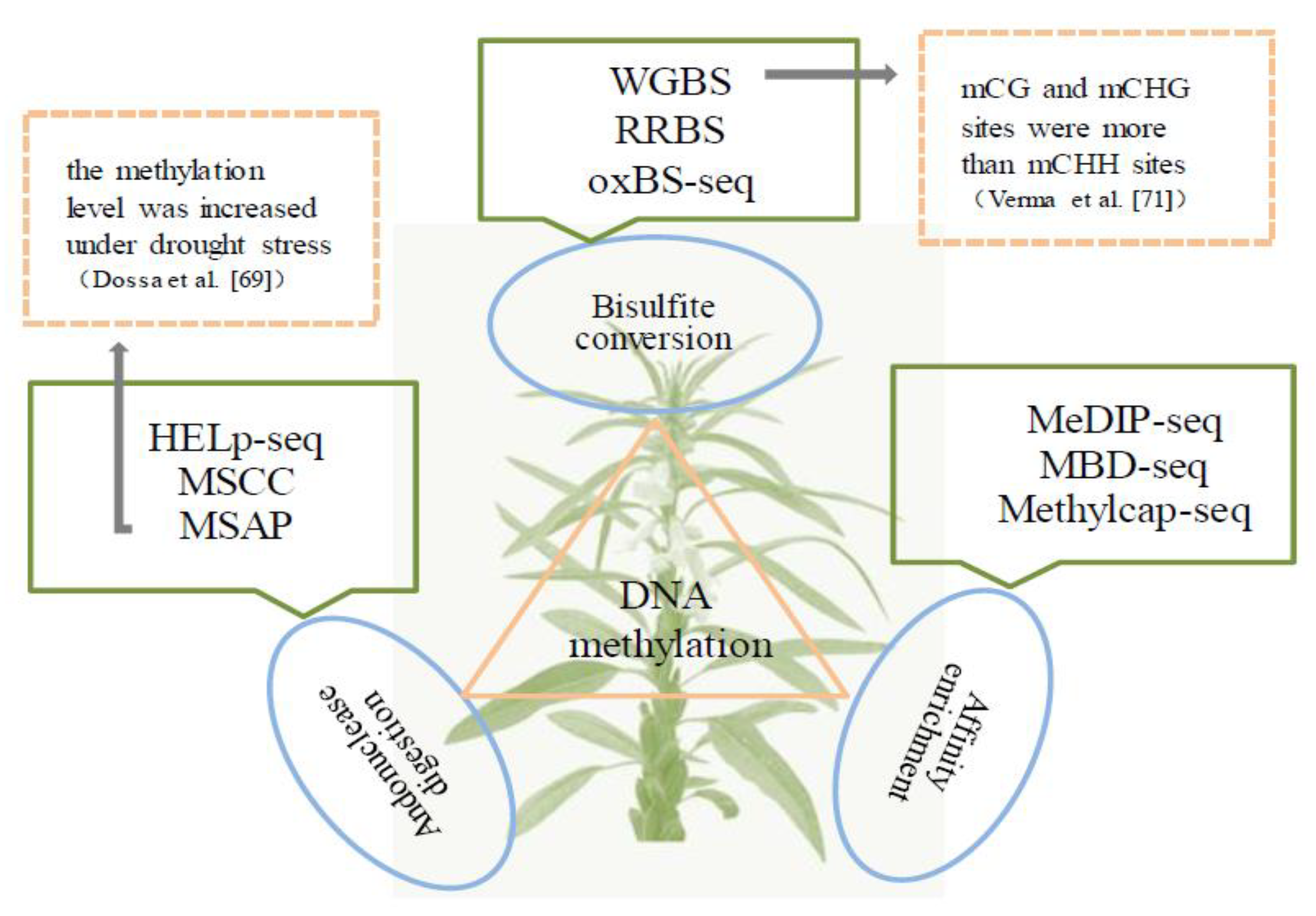 Ijms 24 03105 g003 Ijms 24 03105 g003