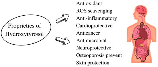 Hydroxytyrosol benefits