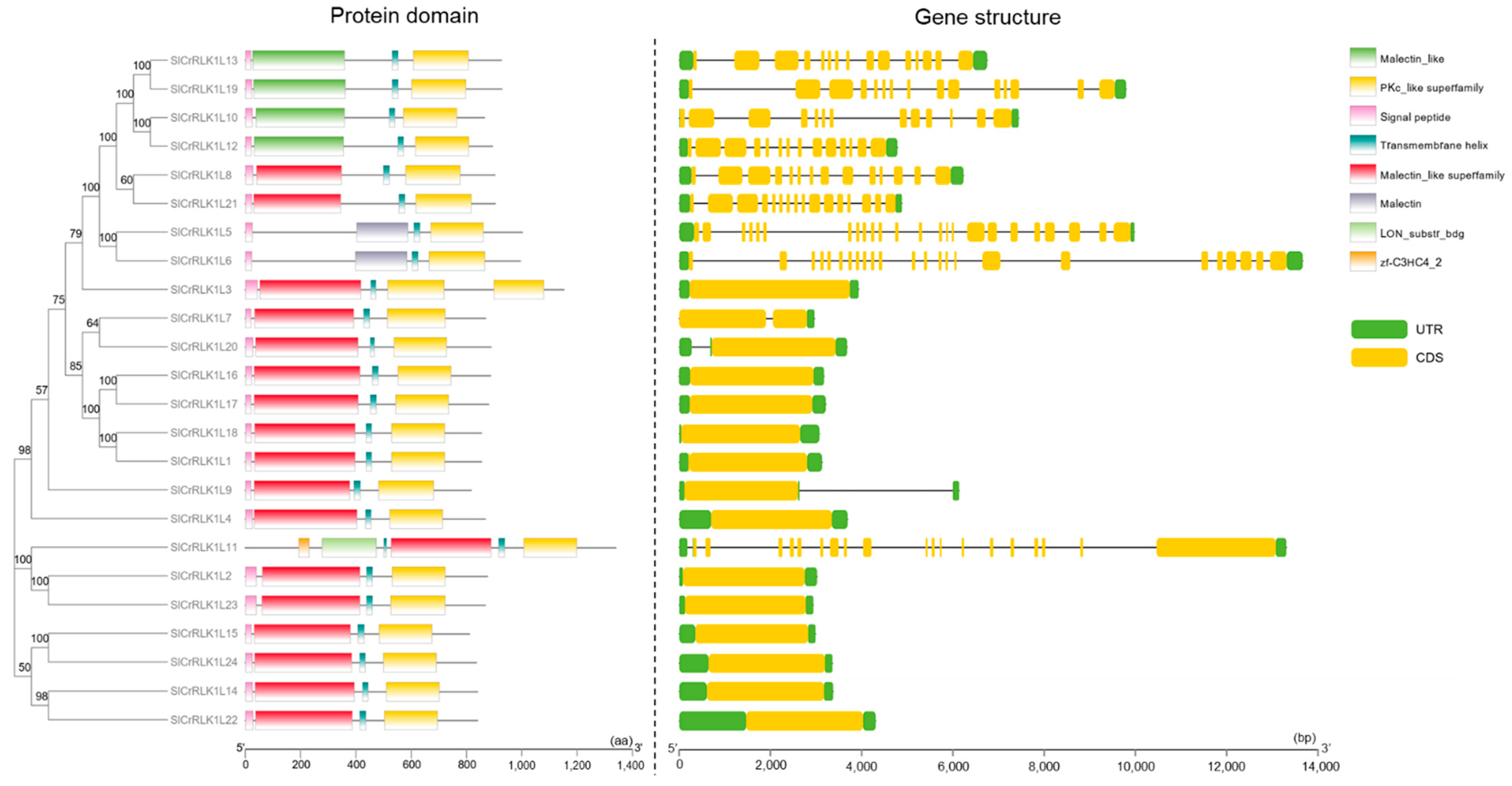 Ijms 24 03142 g004 Ijms 24 03142 g004