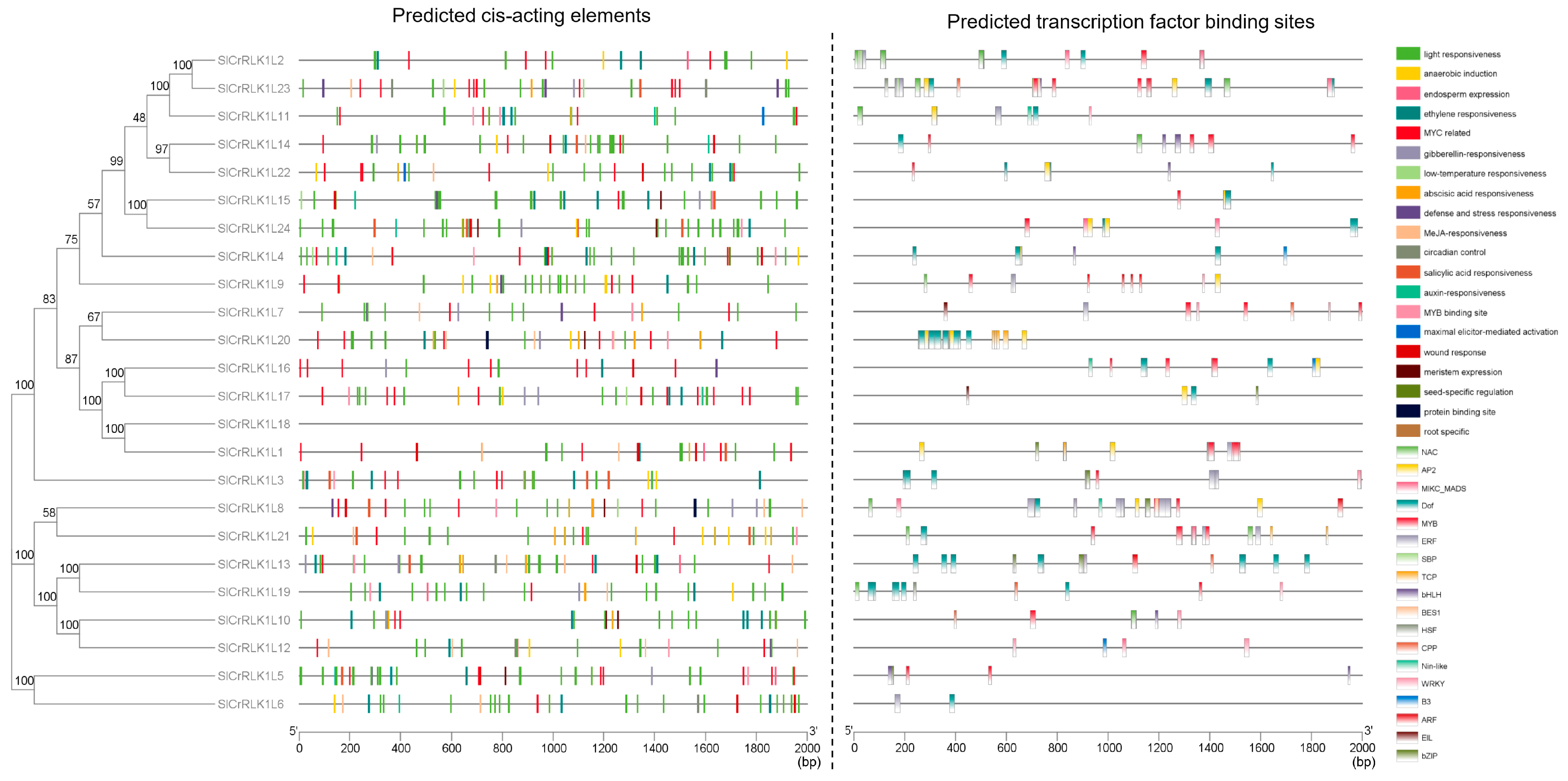 Ijms 24 03142 g006 Ijms 24 03142 g006